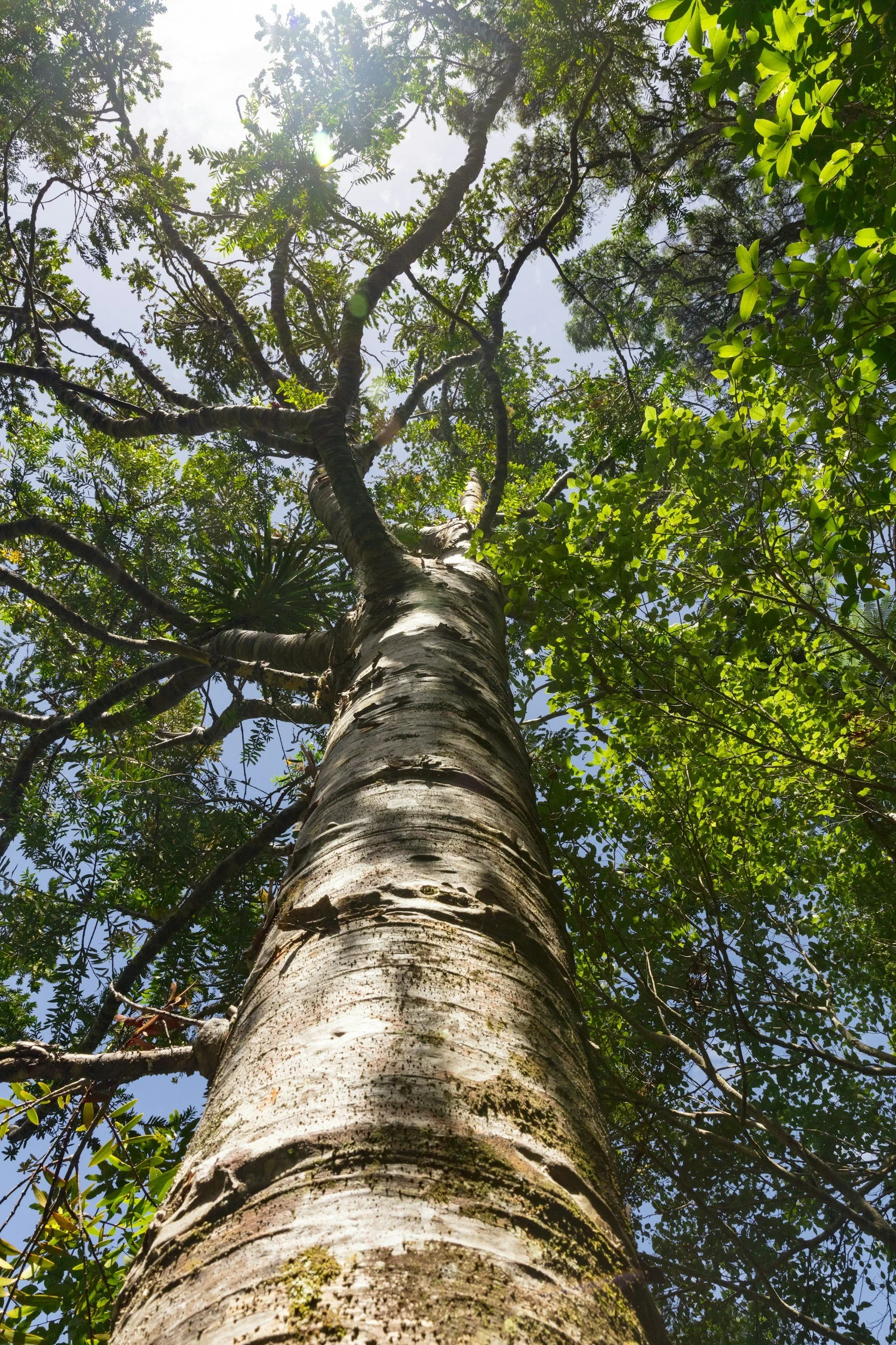 Introducing the Nature Impact Hub