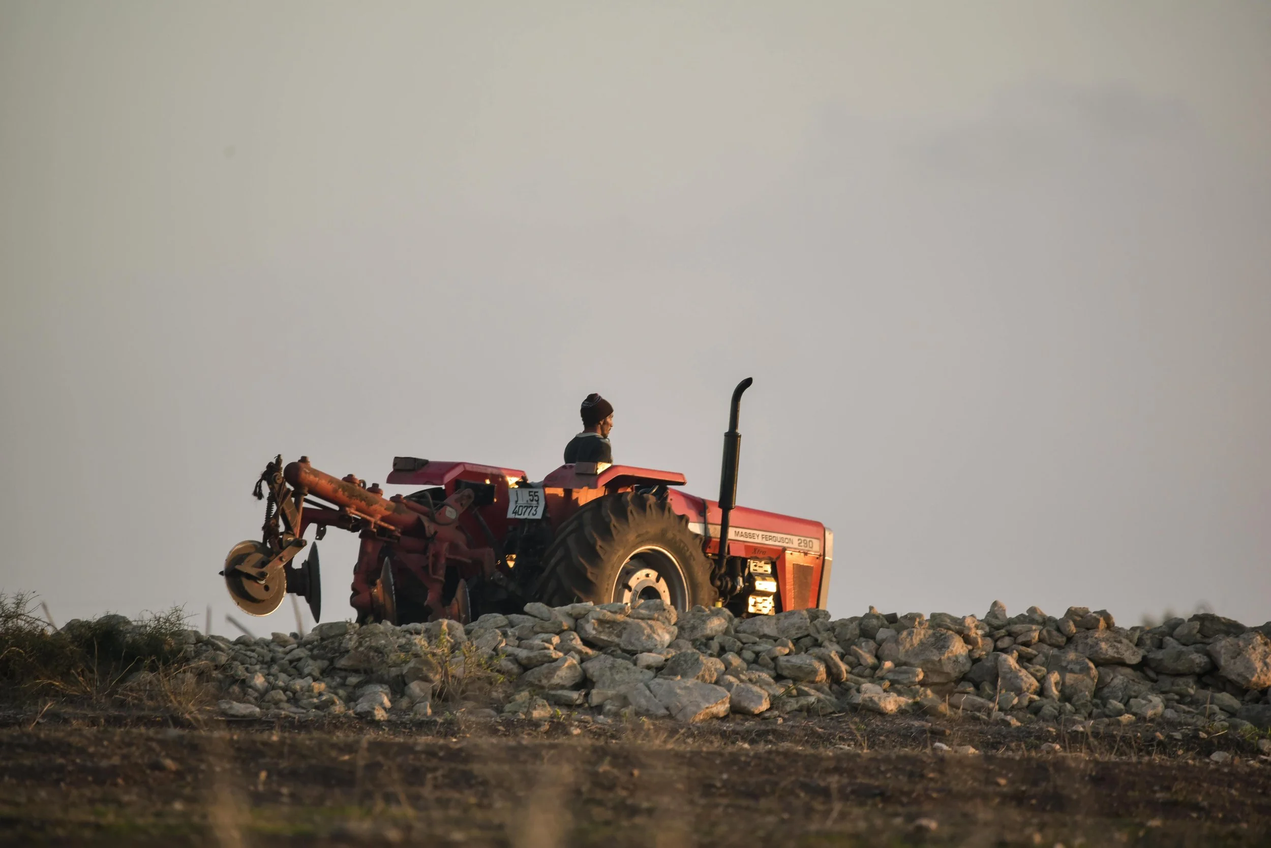 A person riding a red Massey Ferguson tractor on rocky terrain during sunset or sunrise.