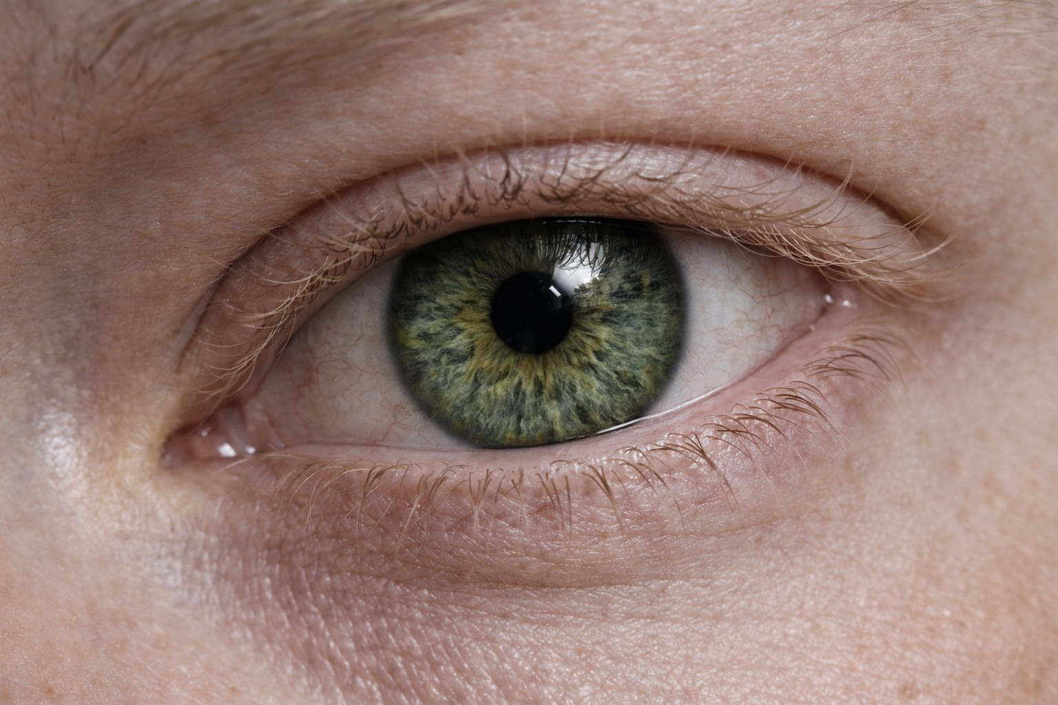 Close-up of a green and brown eye with detailed iris and eyelashes.