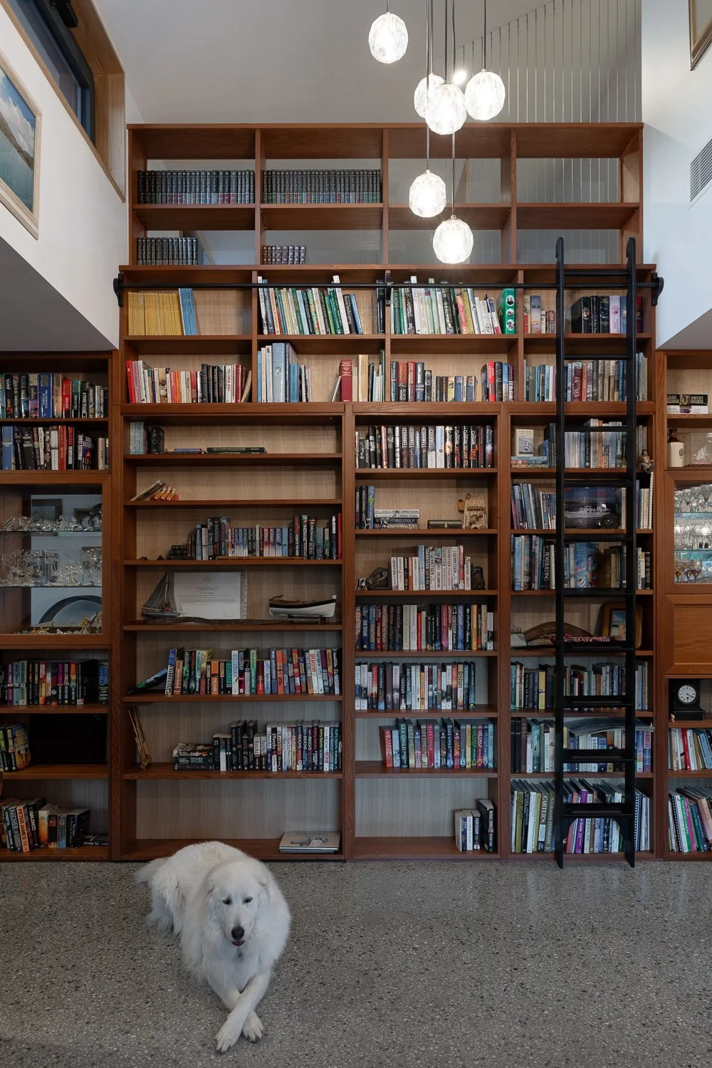 Bookshelf House