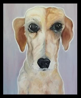 Lizzy first dog .jpg