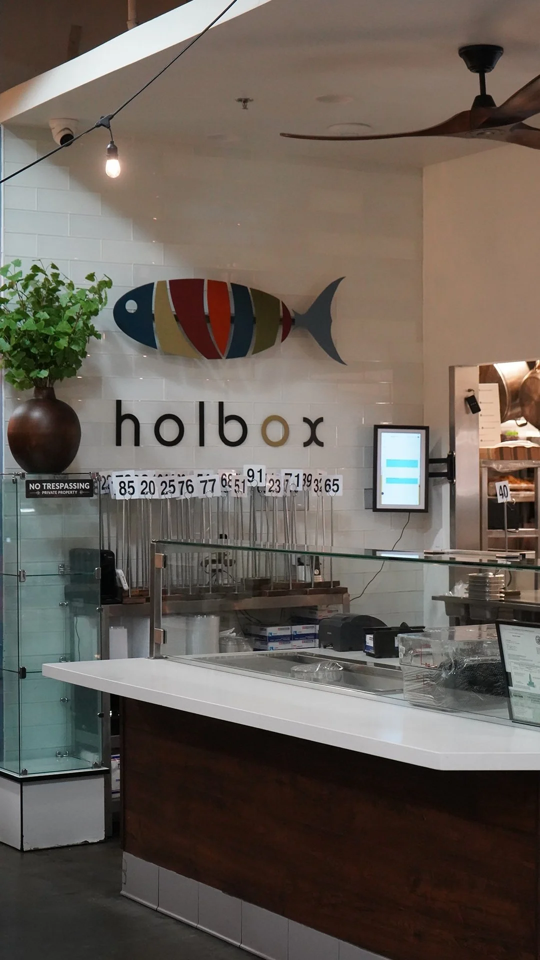 HOLBOX 3.jpg