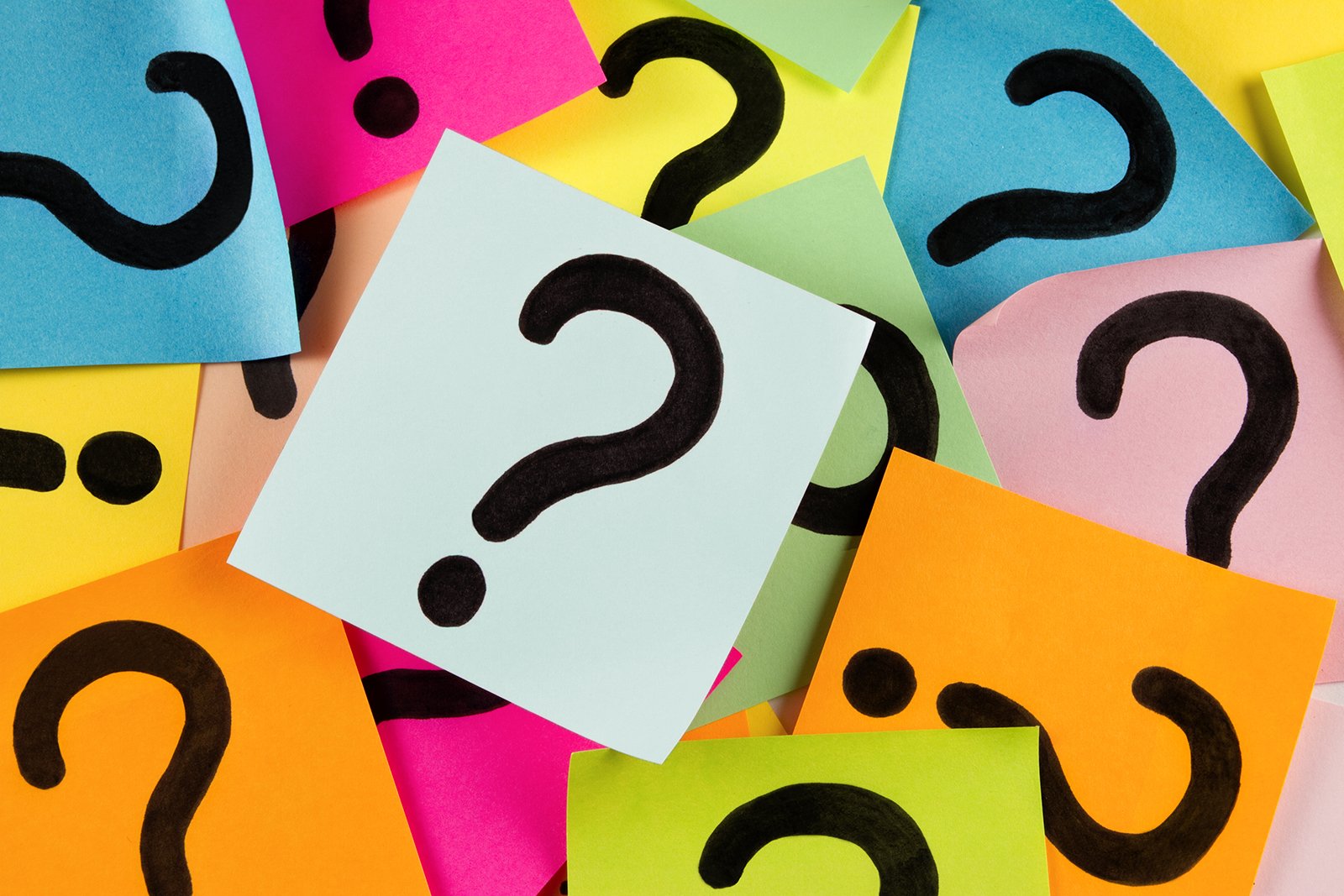 What Book Authors Want to Know