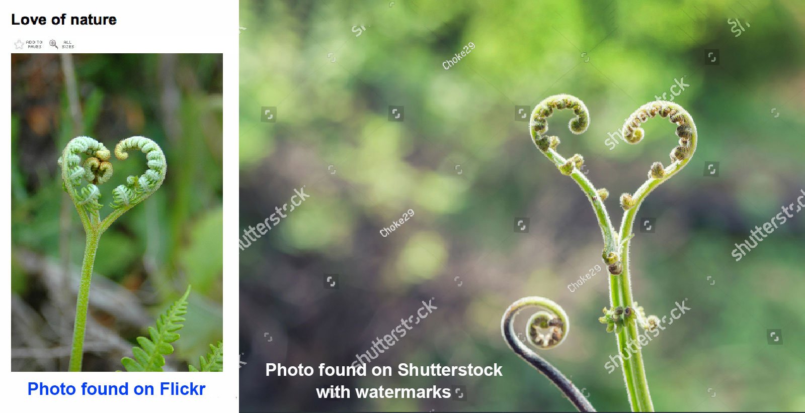 Searching for a particular photo