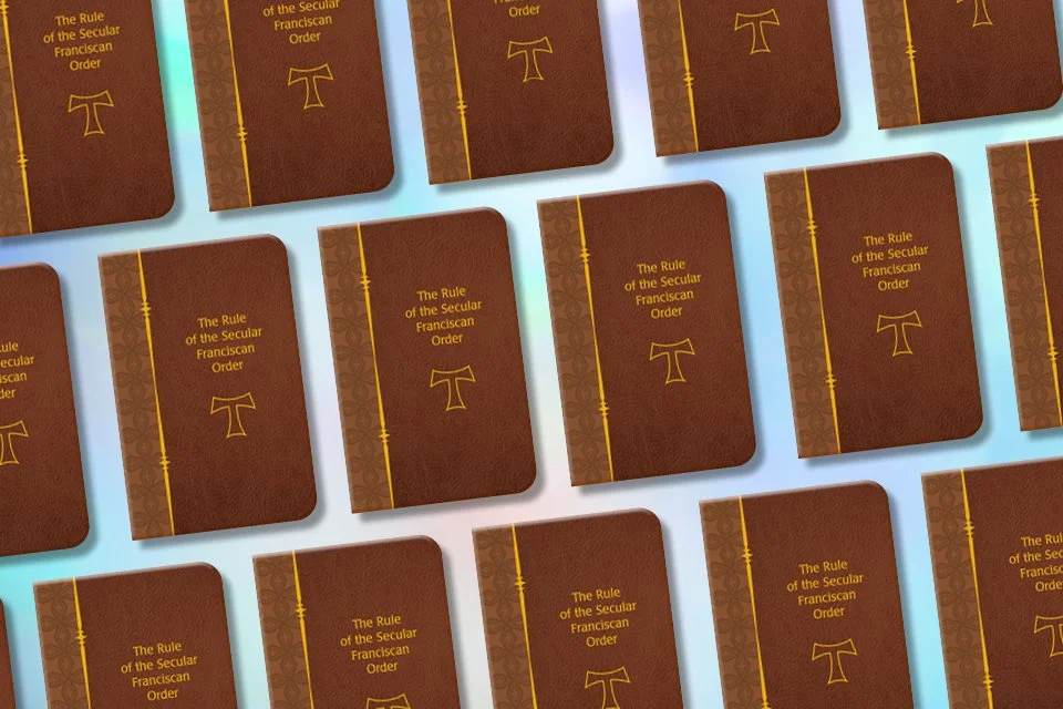 The Little Brown Book