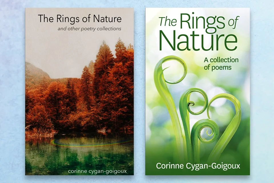 A Book Cover Redesign