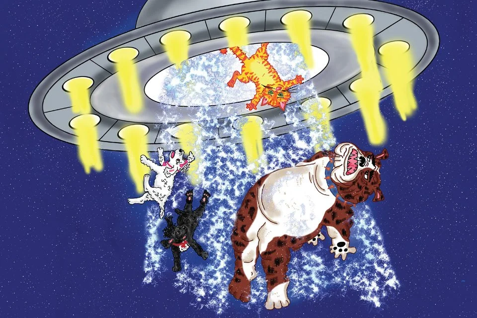 Assignment: Children’s Book Design — Mulligan Goes to Mars