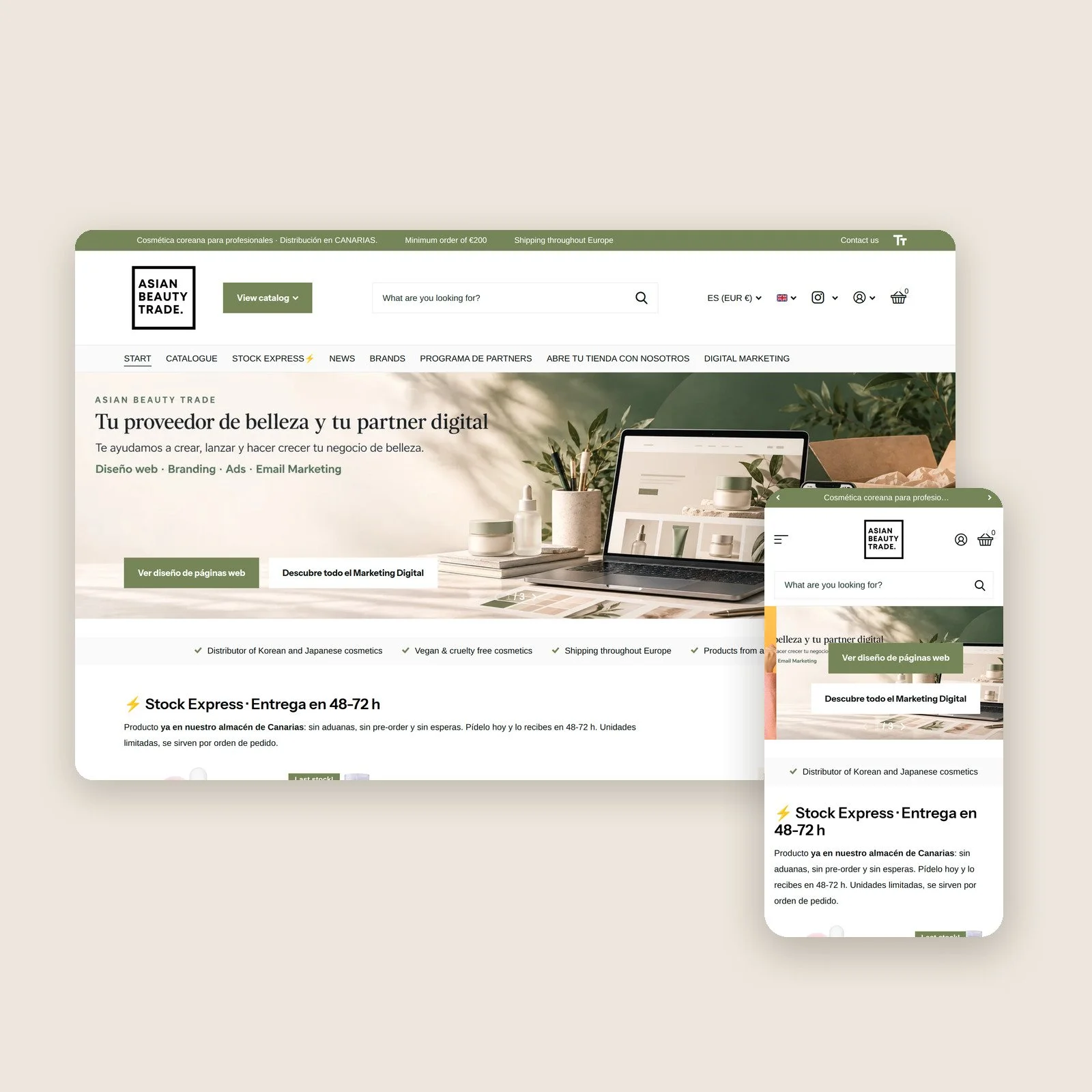 Diseño Web Avanzado