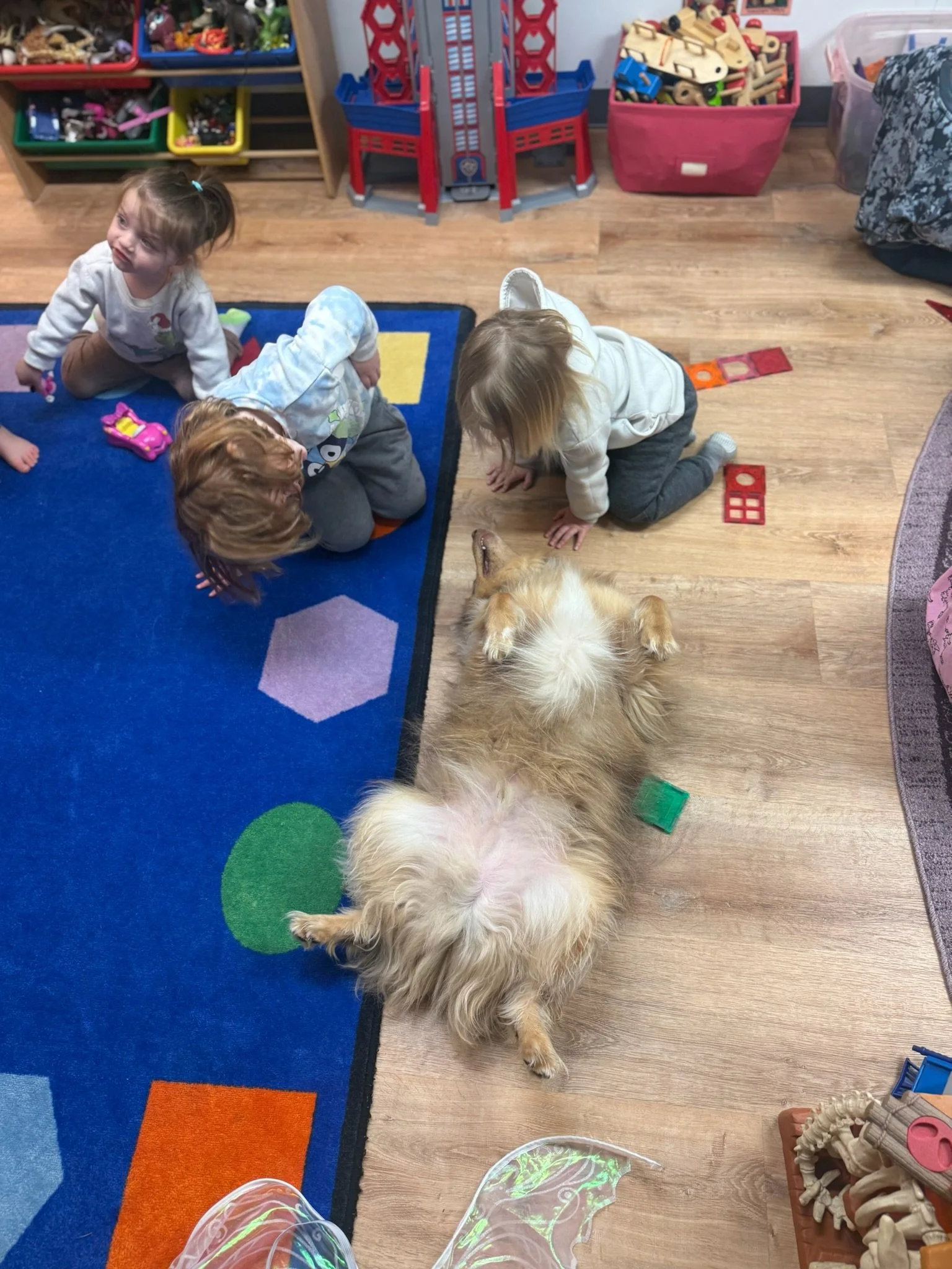 Three young children, two girls and a boy, playing on a colorful rug in a playroom with a large fluffy dog lying on the floor. The playroom has shelves of toys, including building blocks, stuffed animals, and wooden toys, along with a large red and blue toy structure.