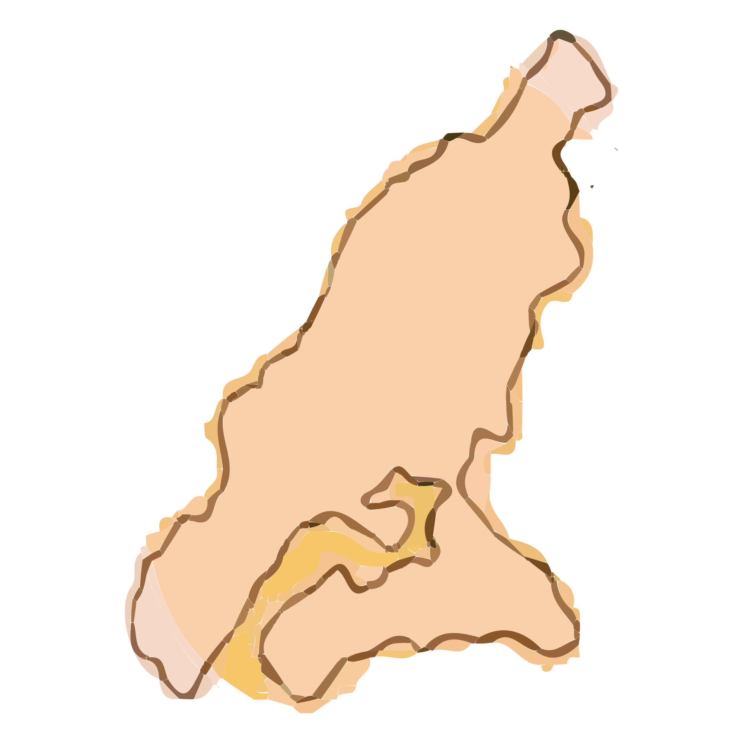 Illustration of Vashon Island i