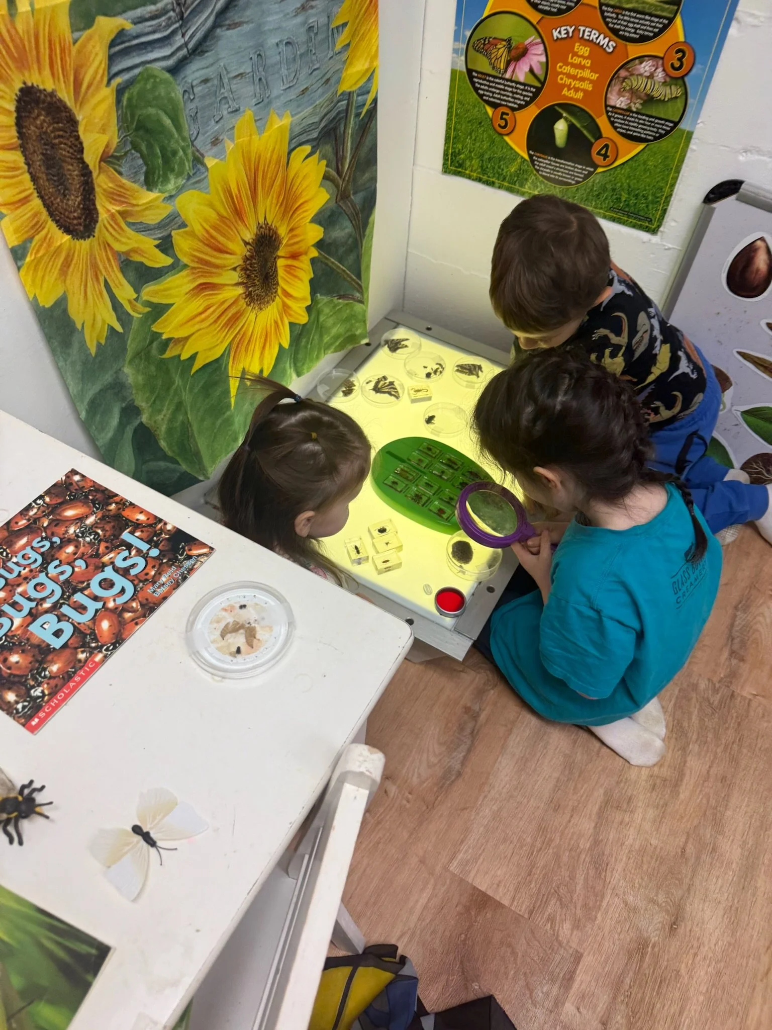 Children observing insects inside a lighted display case at a science exhibit, with educational posters about insects on the wall.