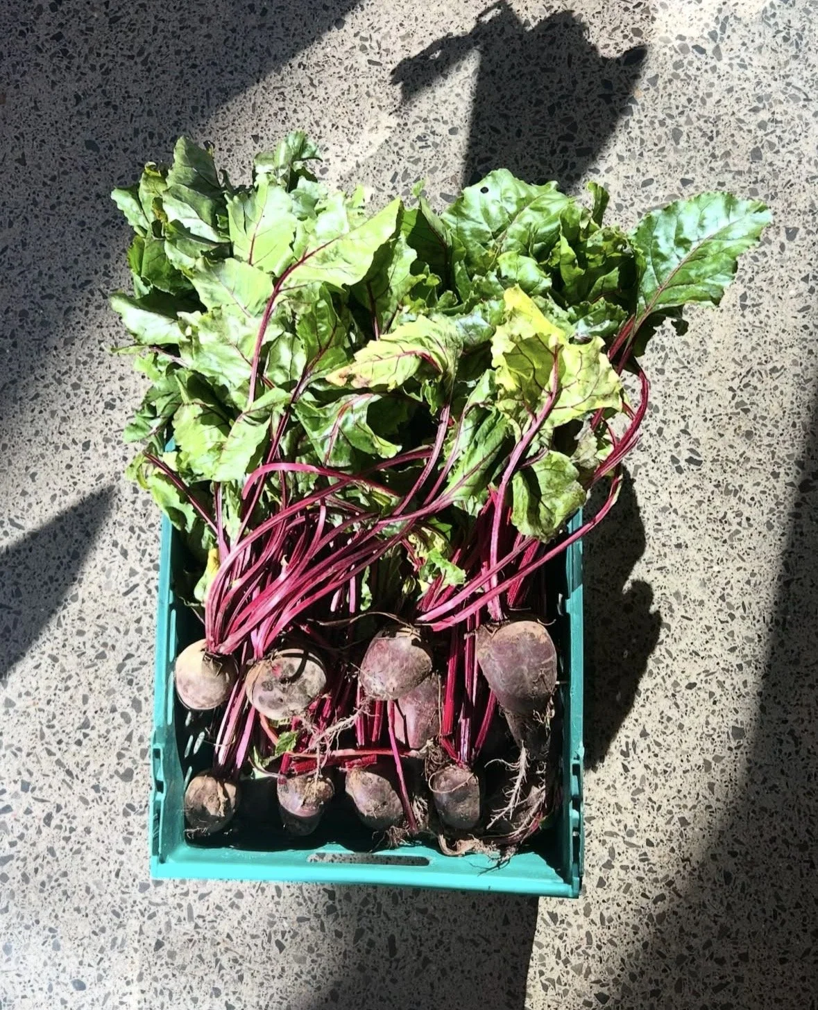 Support Better Farming
