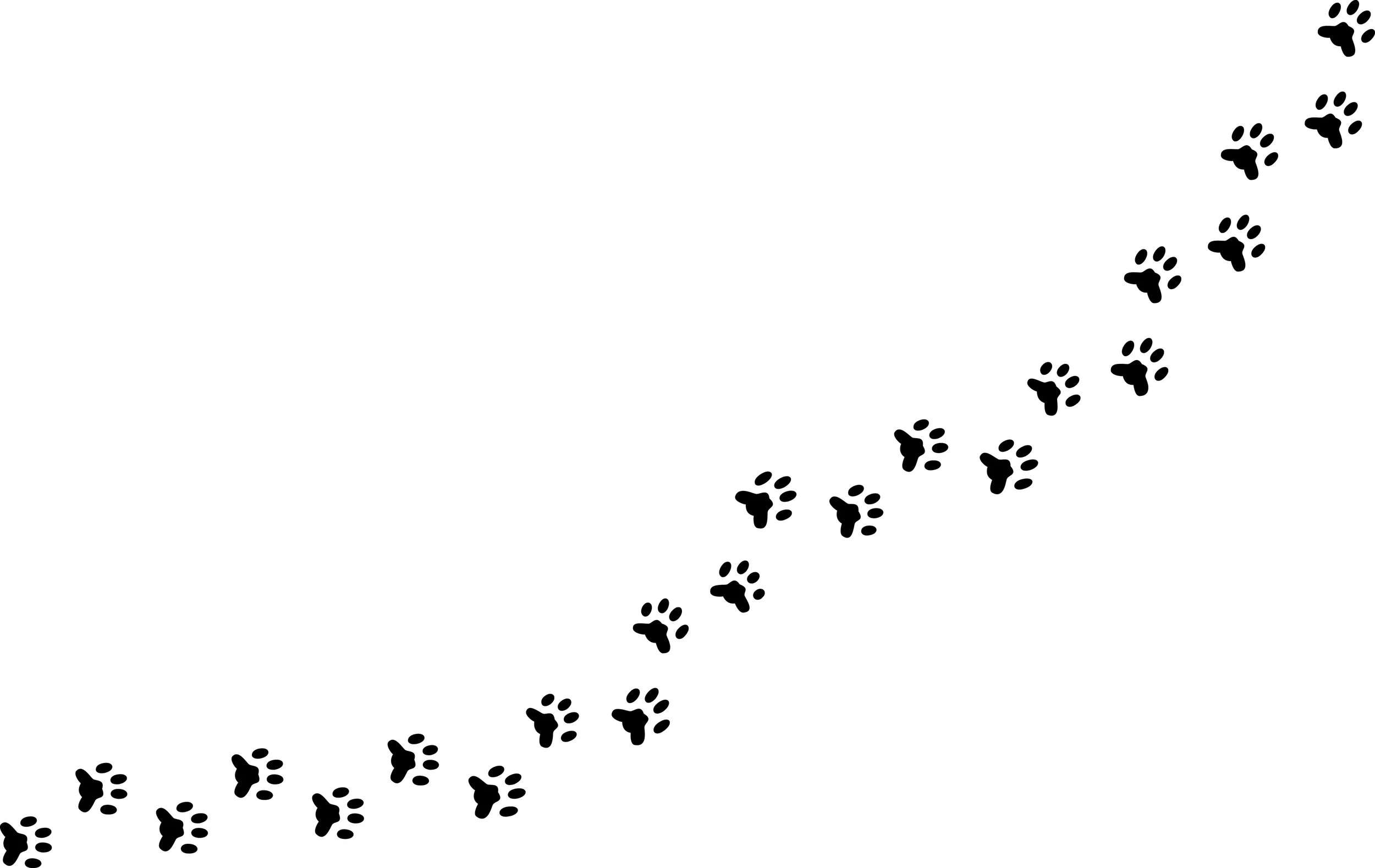 Black paw prints arranged to depict that a cat has walked across the screen