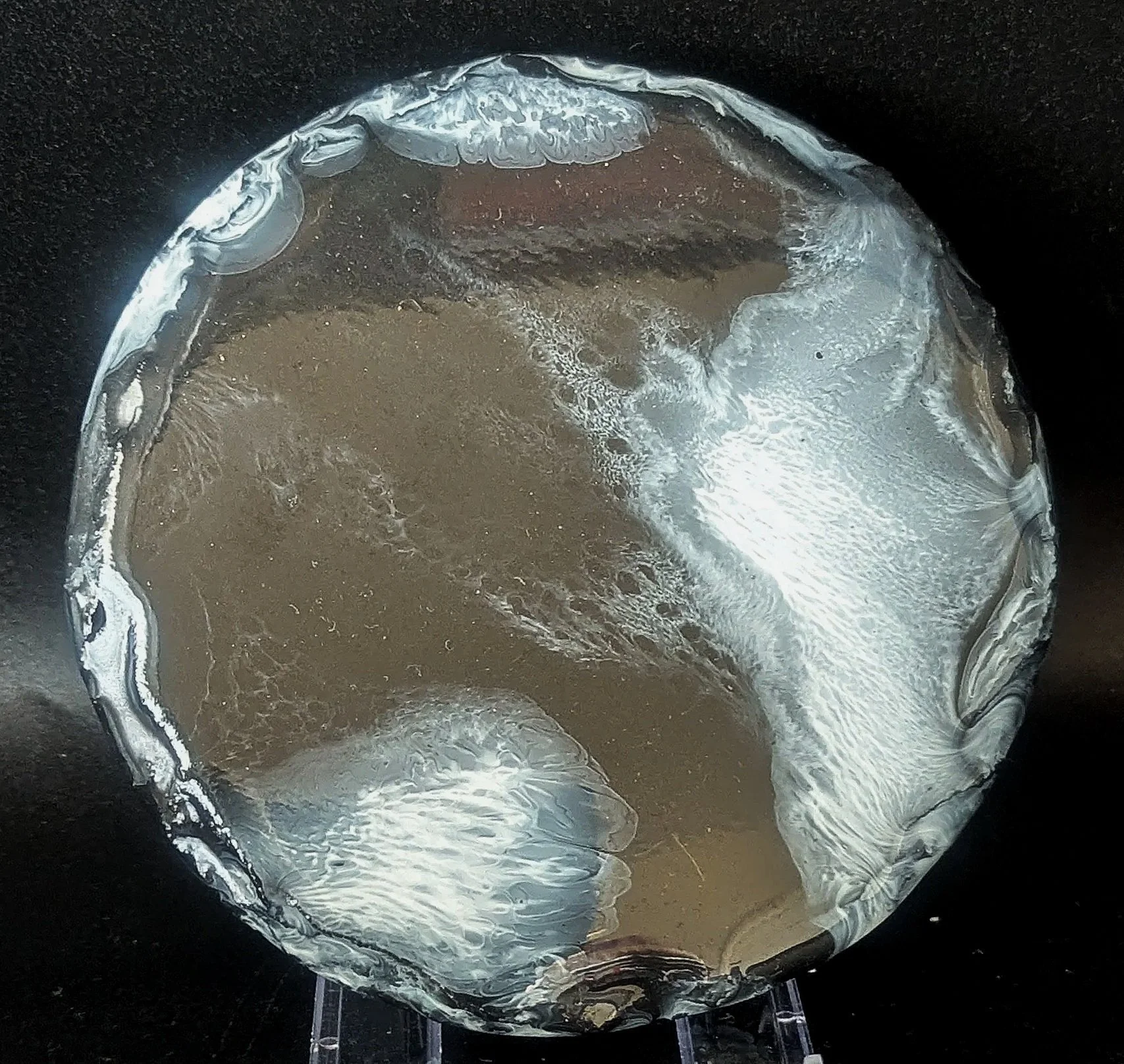 PXL_20260712_094857189.MP.jpg