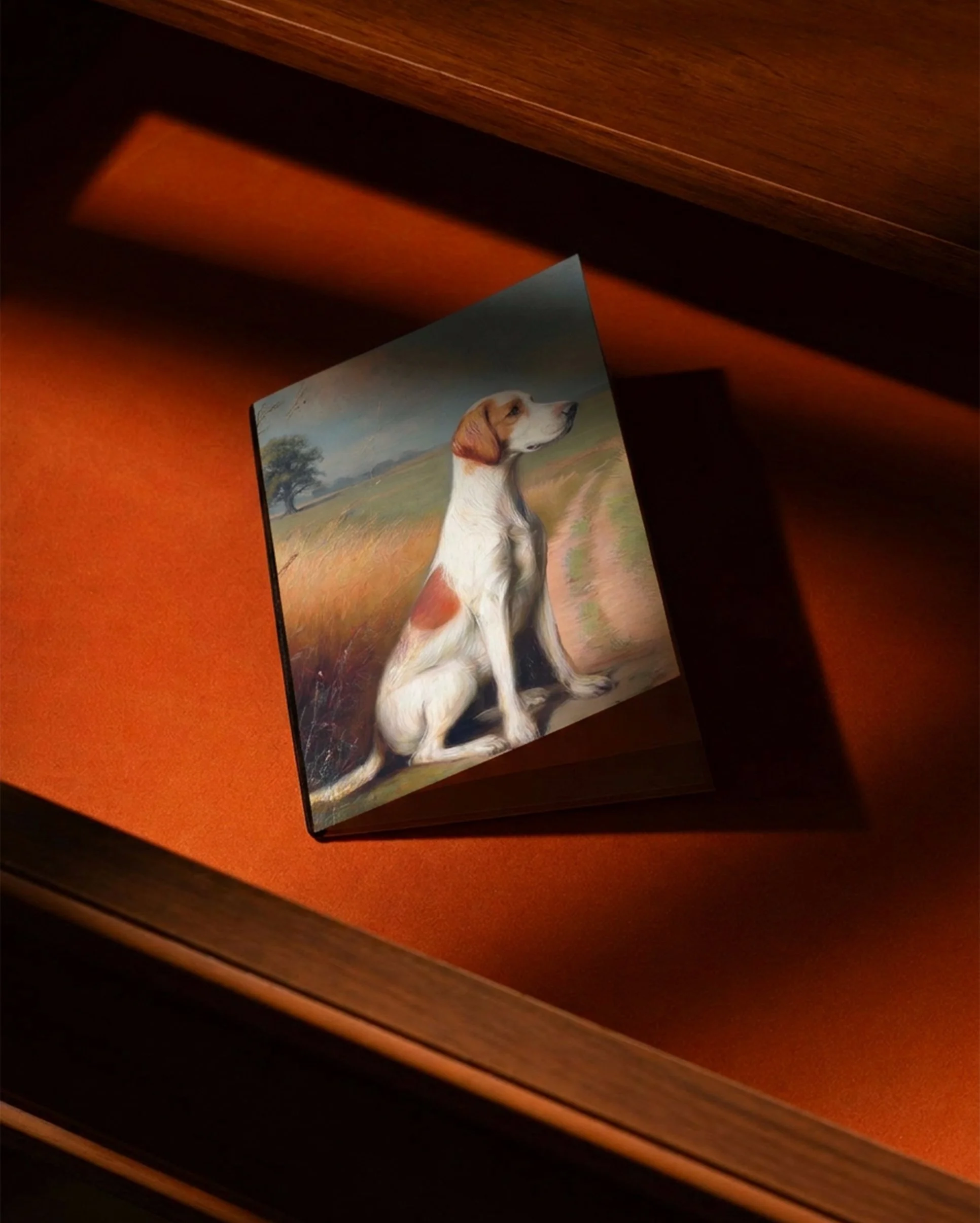 The-Cotley-Launch_Willow-Card.jpg