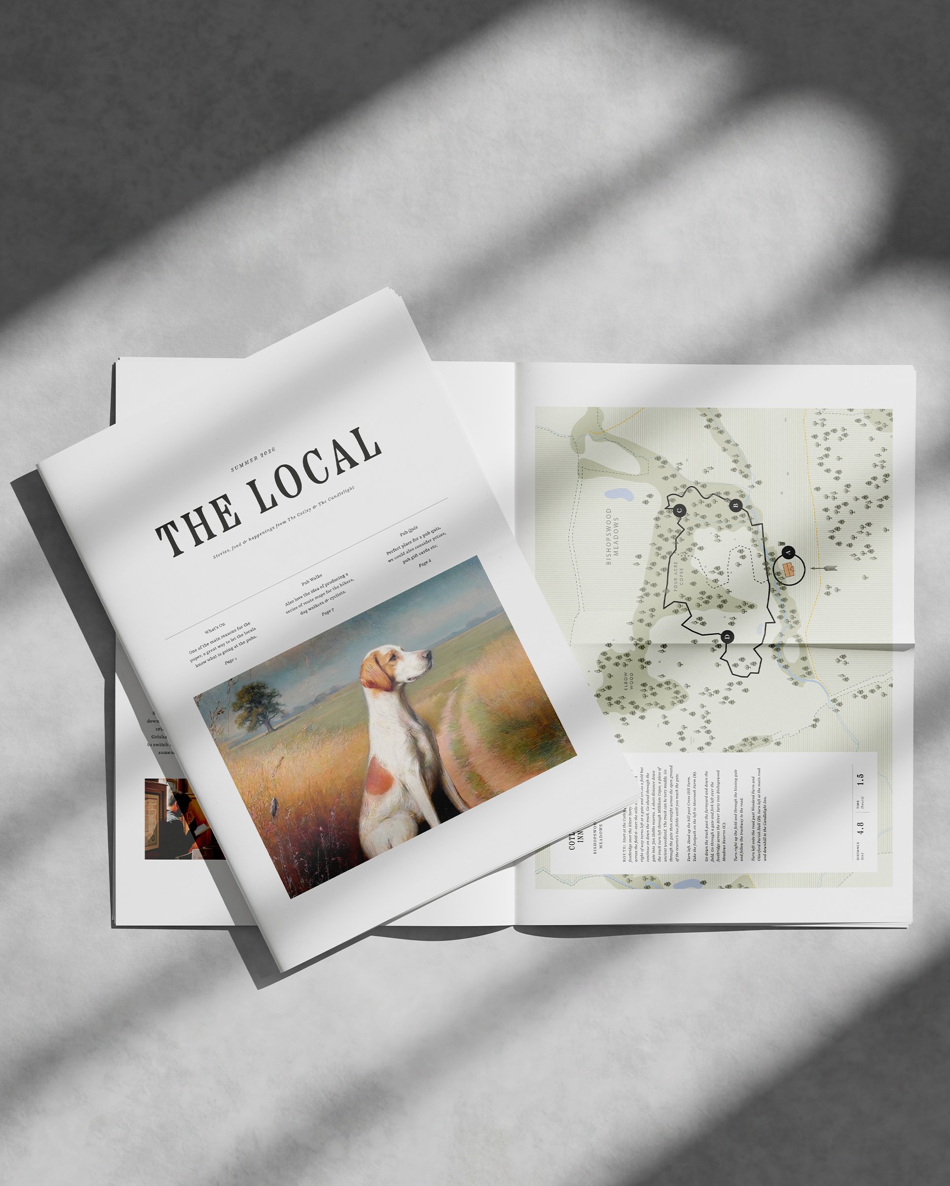 The-Cotley-Launch_The-Local.jpg