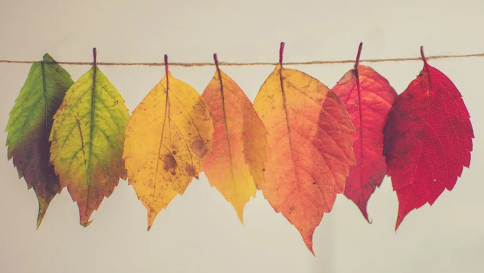 Why Participants Change Providers