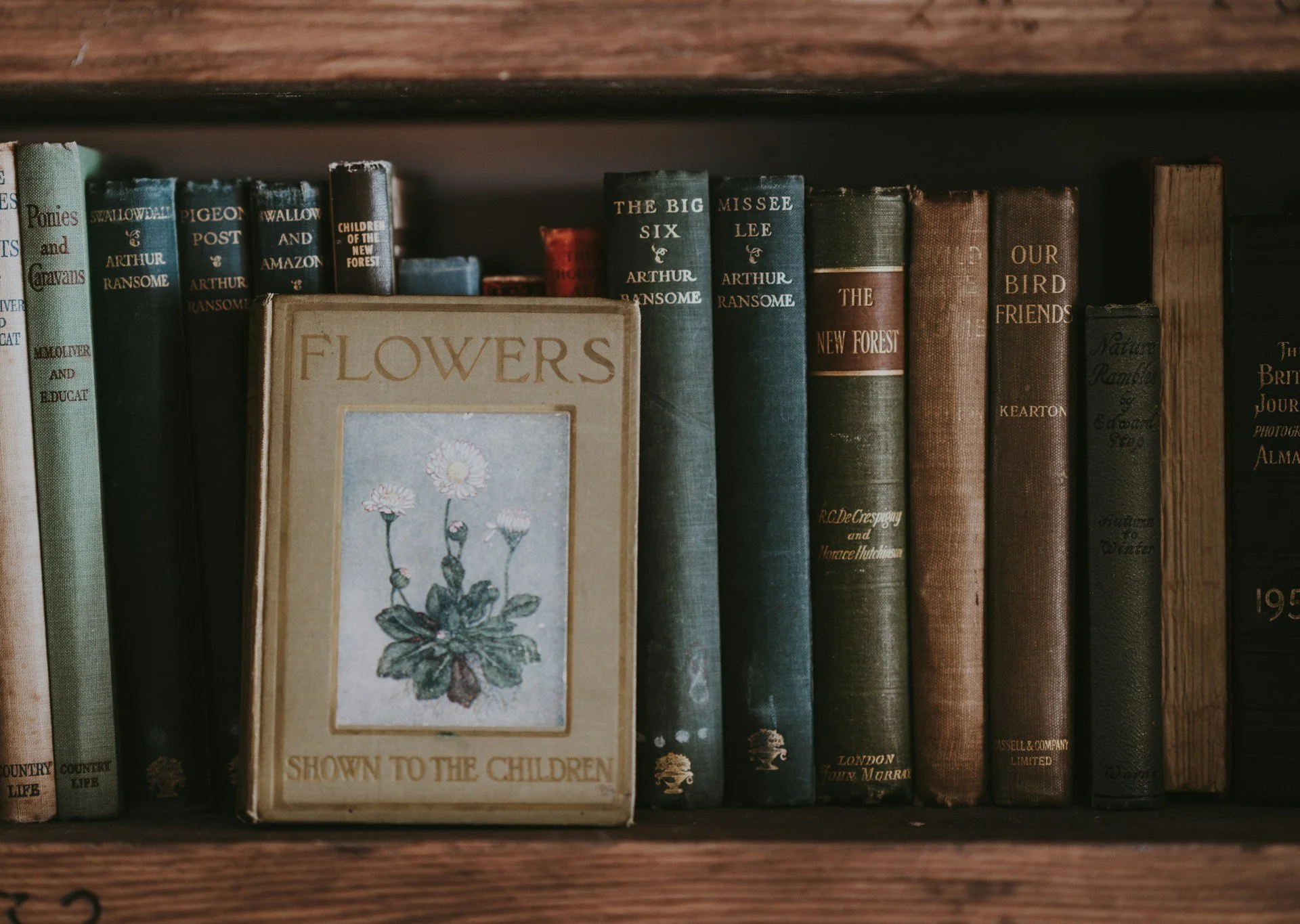 The Darkest Poets of All Time: How Poetry About Grief, Death, &amp; Heartbreak Continues to Influence Our Culture