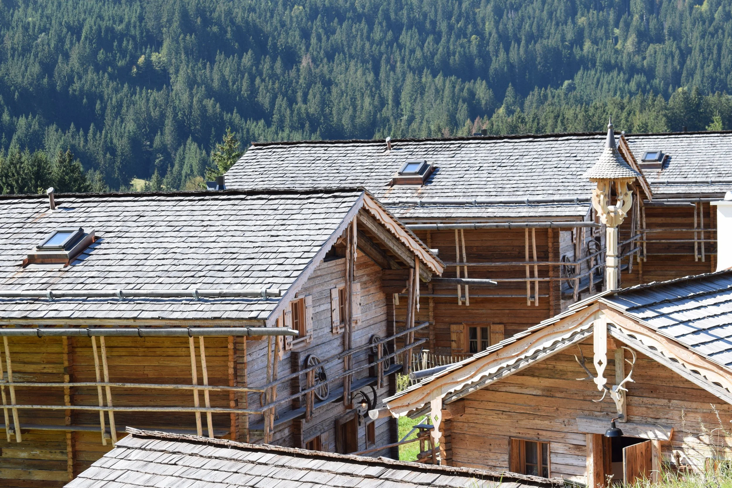 Holzchalet mit Schindeldach vor einer grünen Waldkulisse.