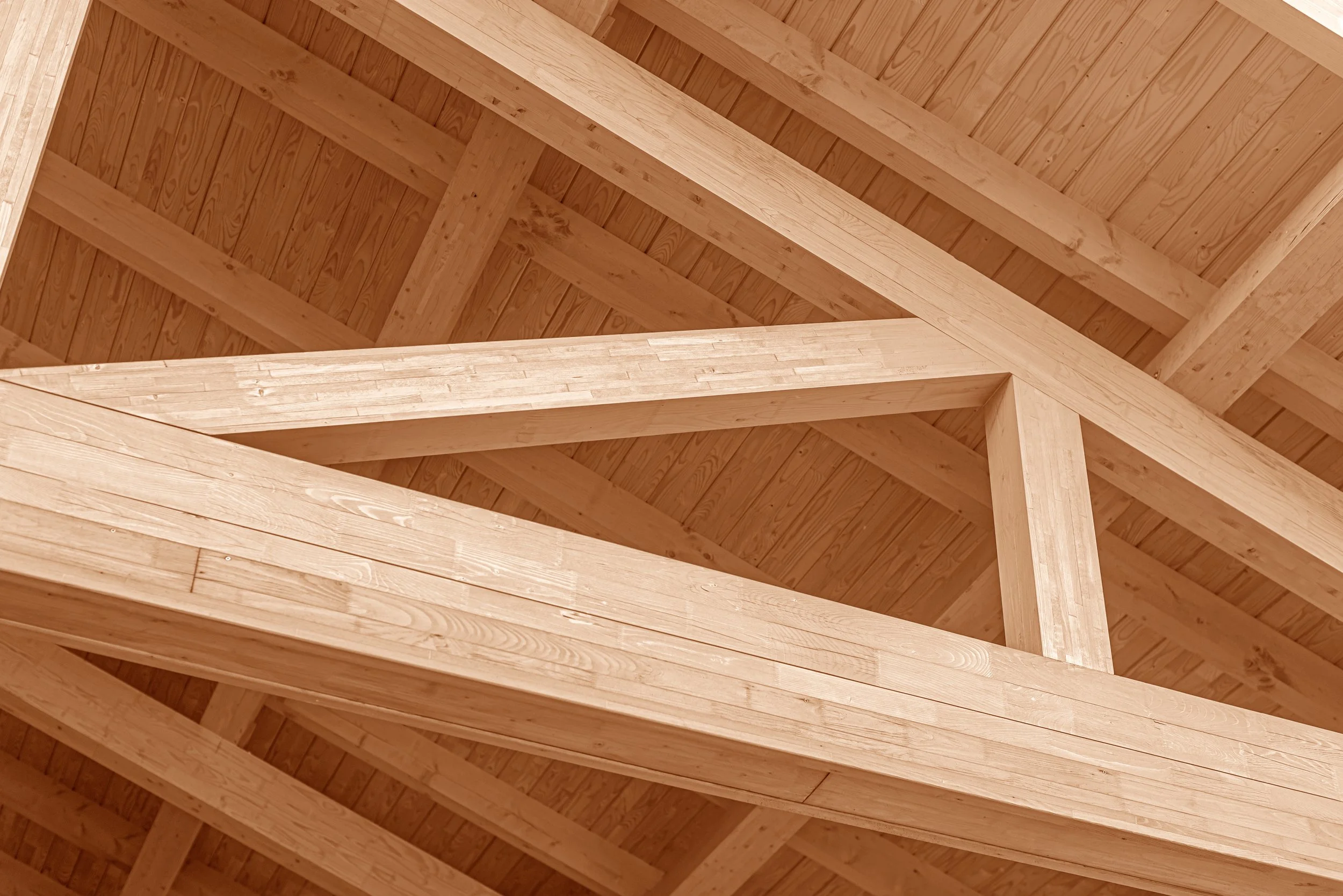 Innenansicht eines Holz-Dachstuhls mit sichtbaren Balken und Dachschindeln.