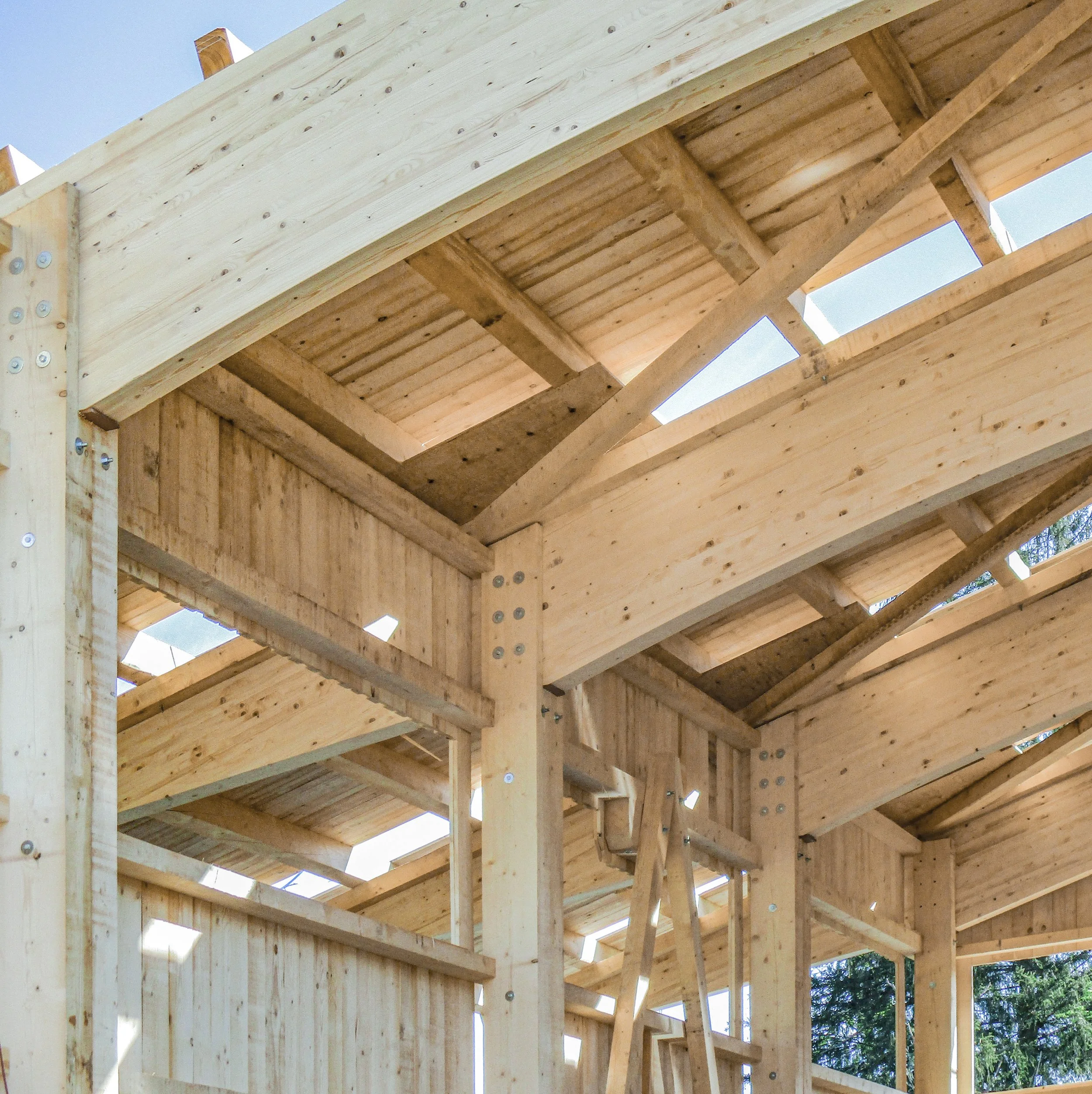Holzrahmenbau eines Gebäudes in Bauart, mit sichtbar verschraubten Rahmen und Dachkonstruktion aus Holzbalken, offene Stellen für Fenster, im Außenbereich bei Tageslicht.