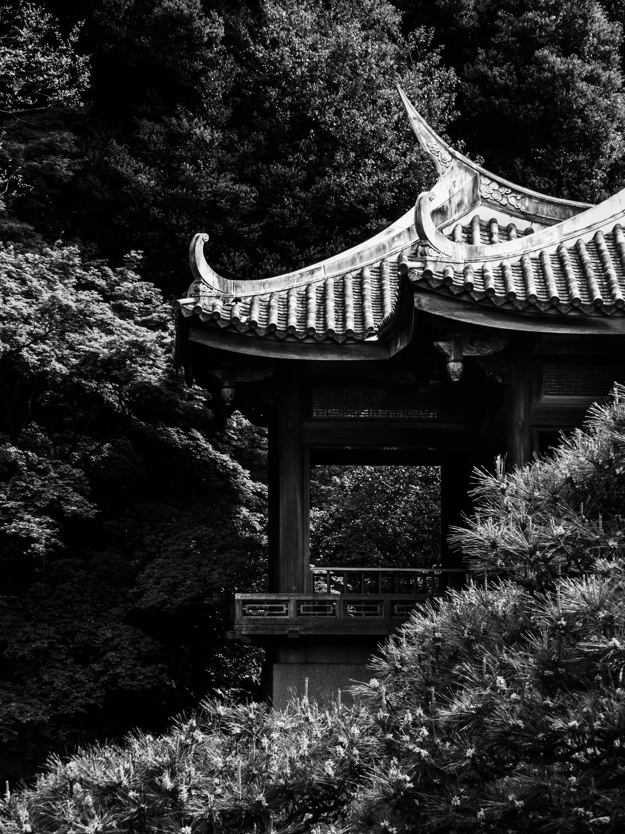 _1032164.JPG
