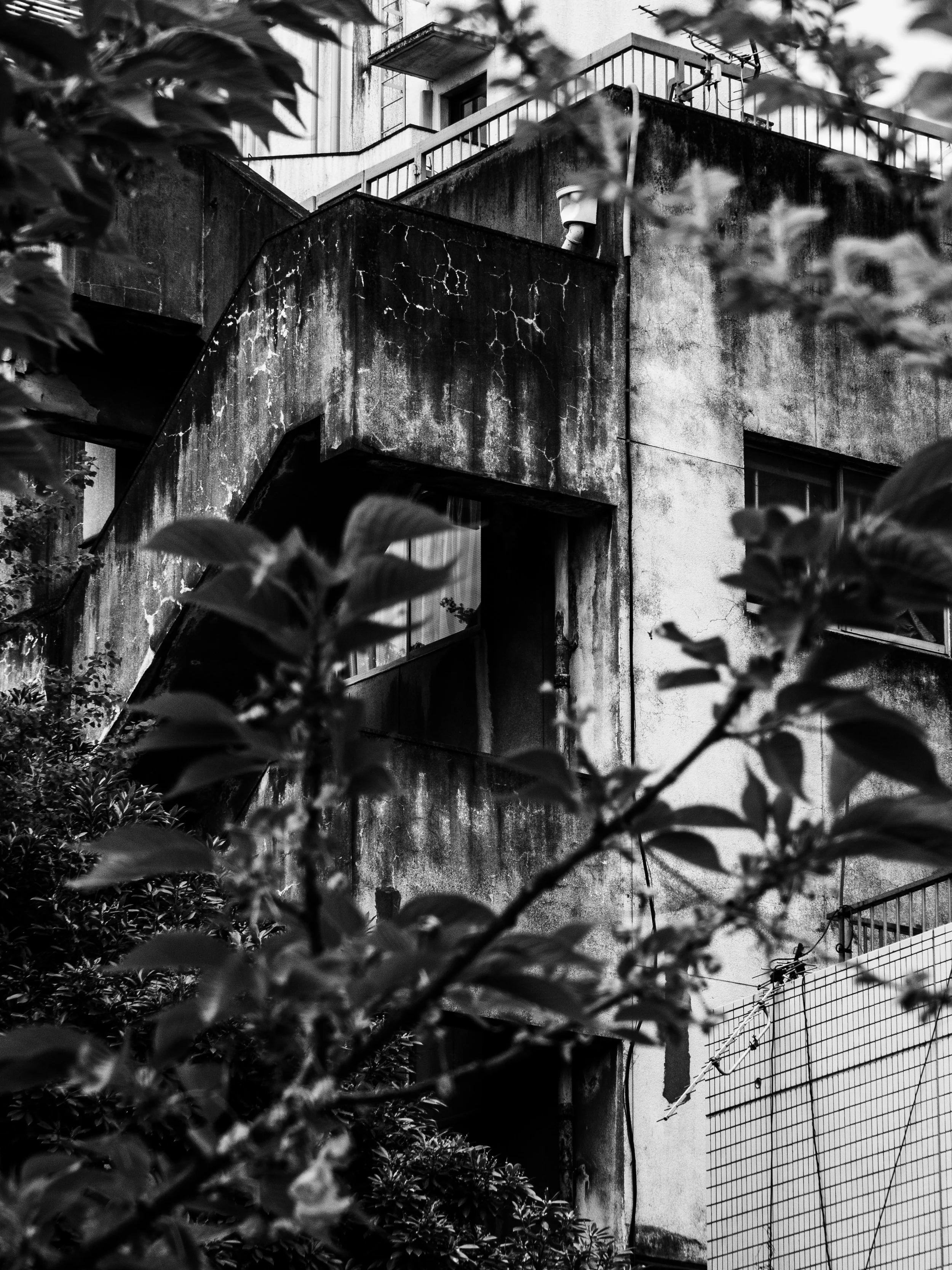 _1031983.JPG