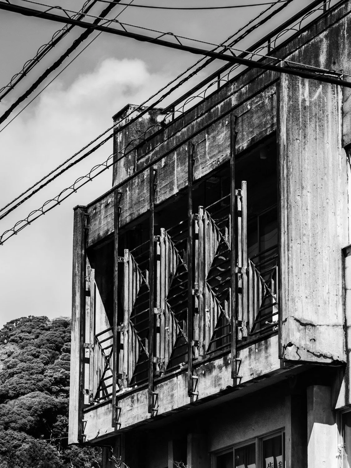_1031785.JPG