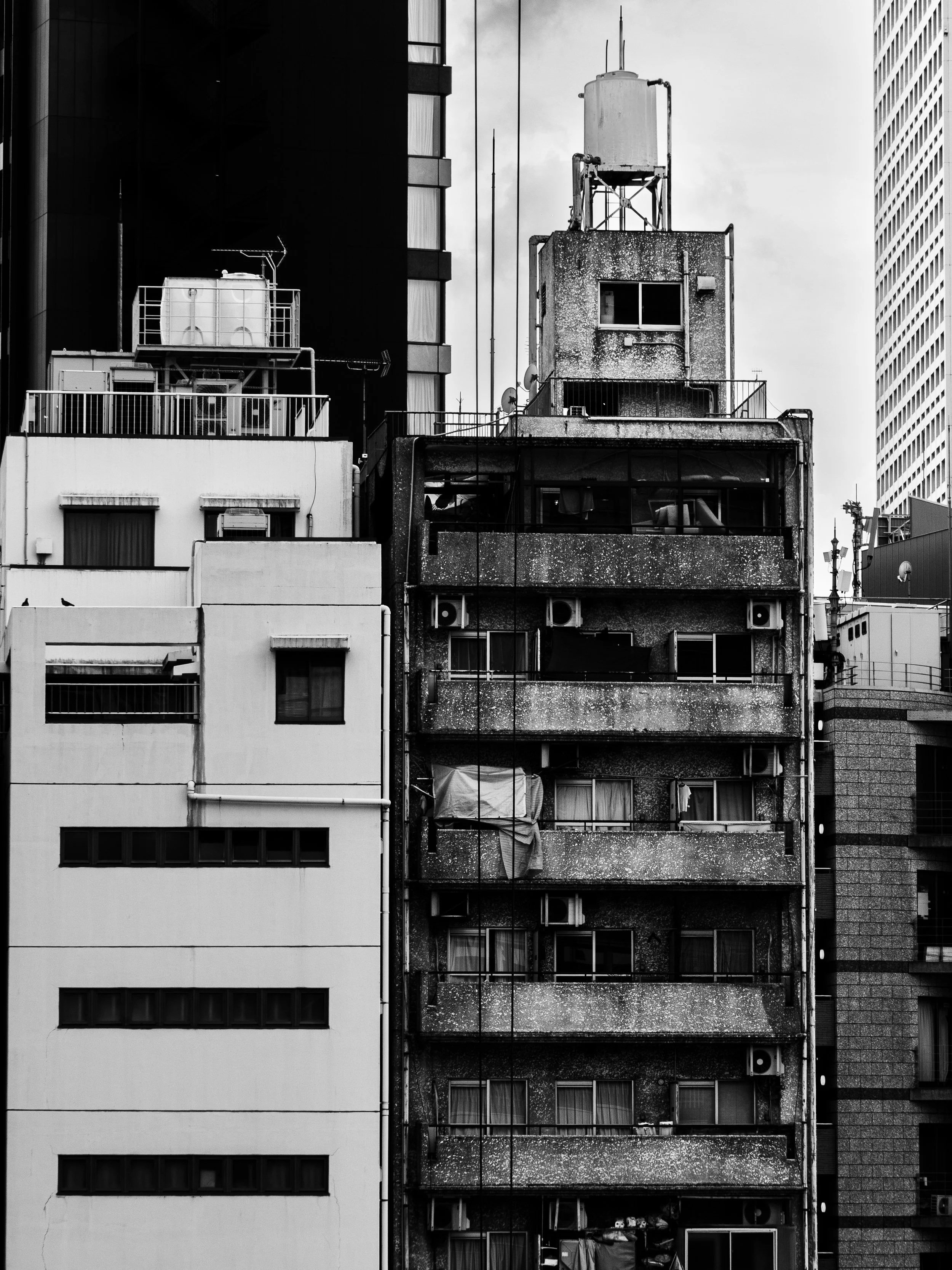 _1032206.JPG