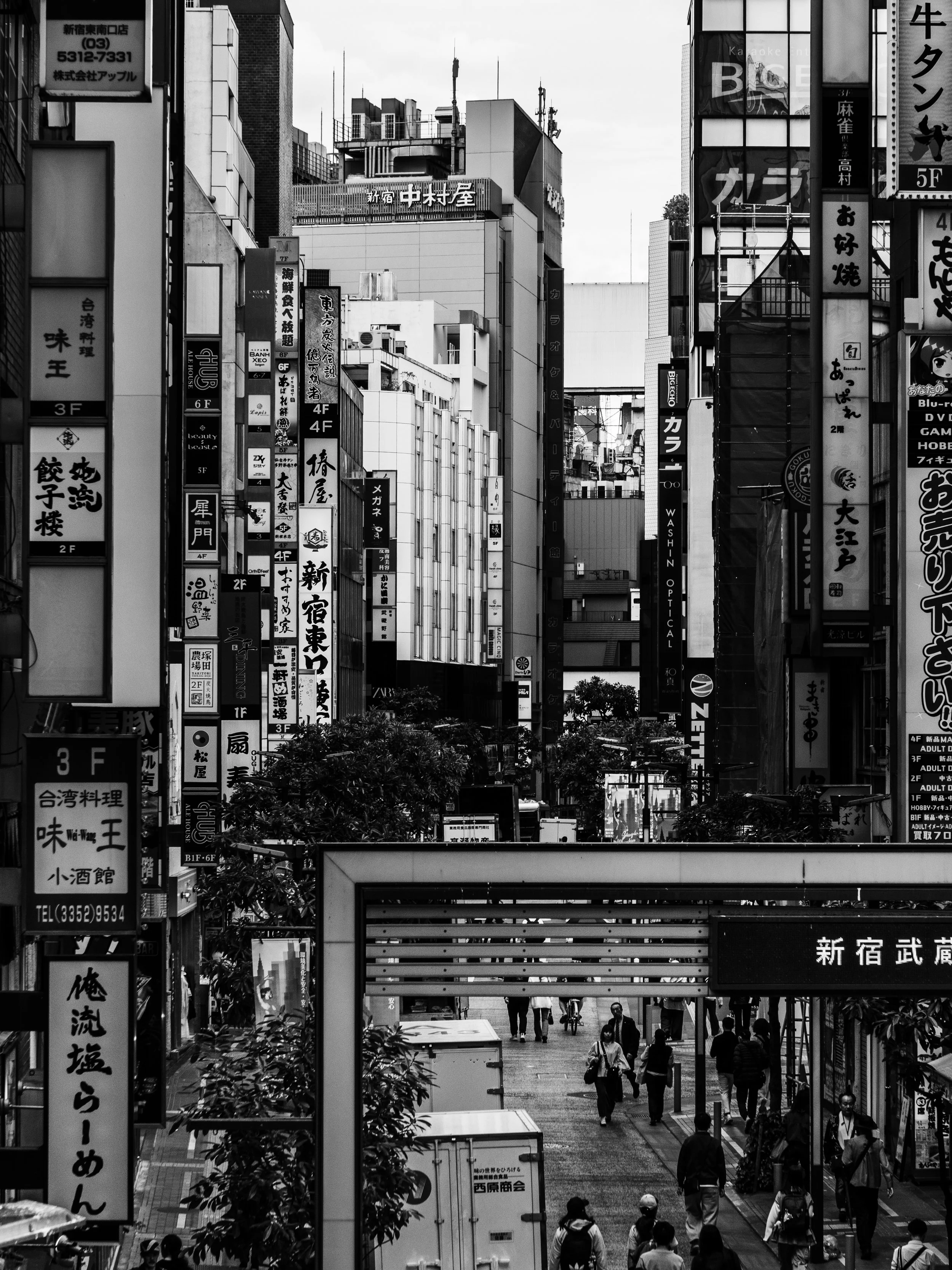 _1032155.JPG