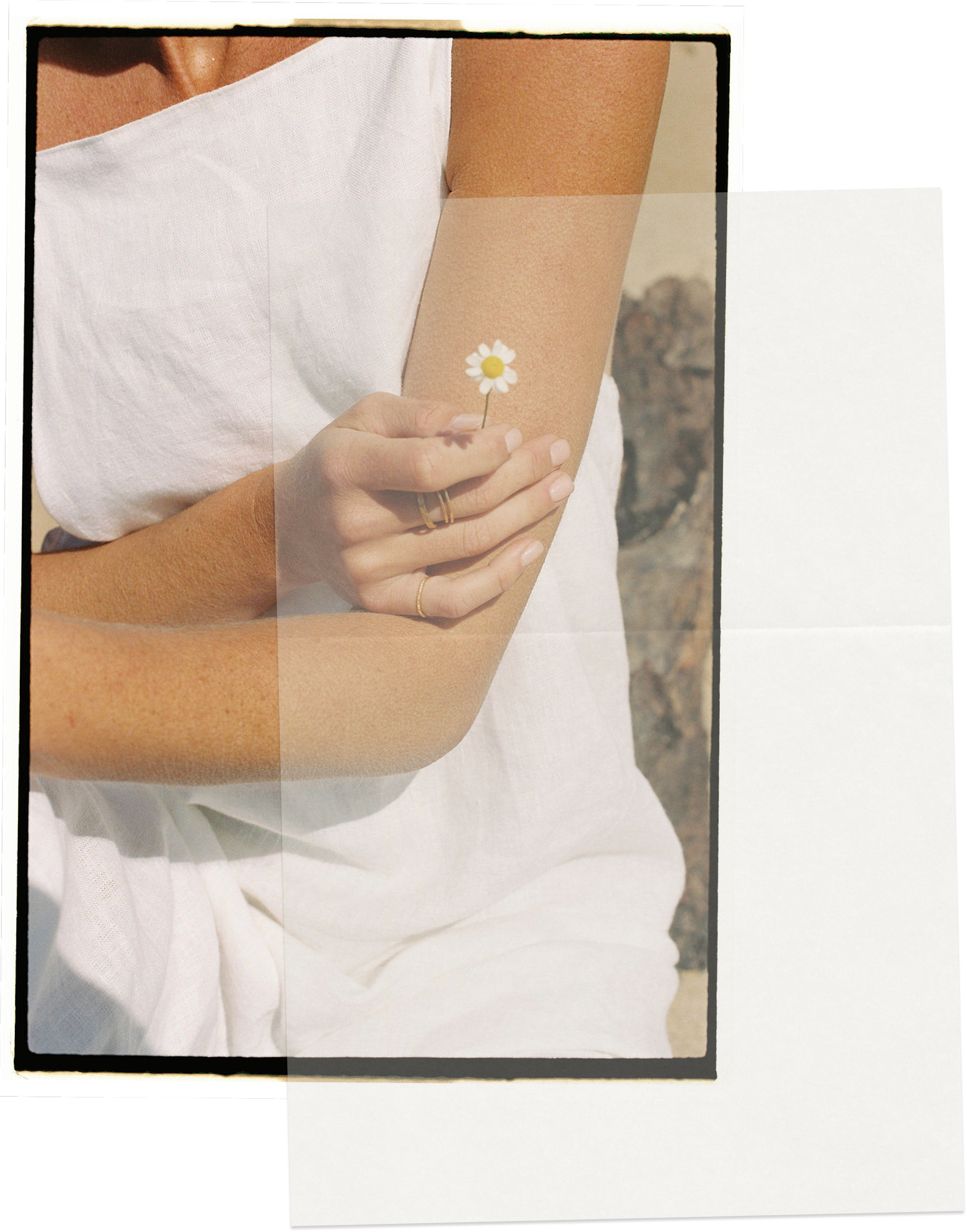 Close-up of a person holding a small daisy flower against their arm, wearing a white sleeveless top and multiple rings on their fingers.