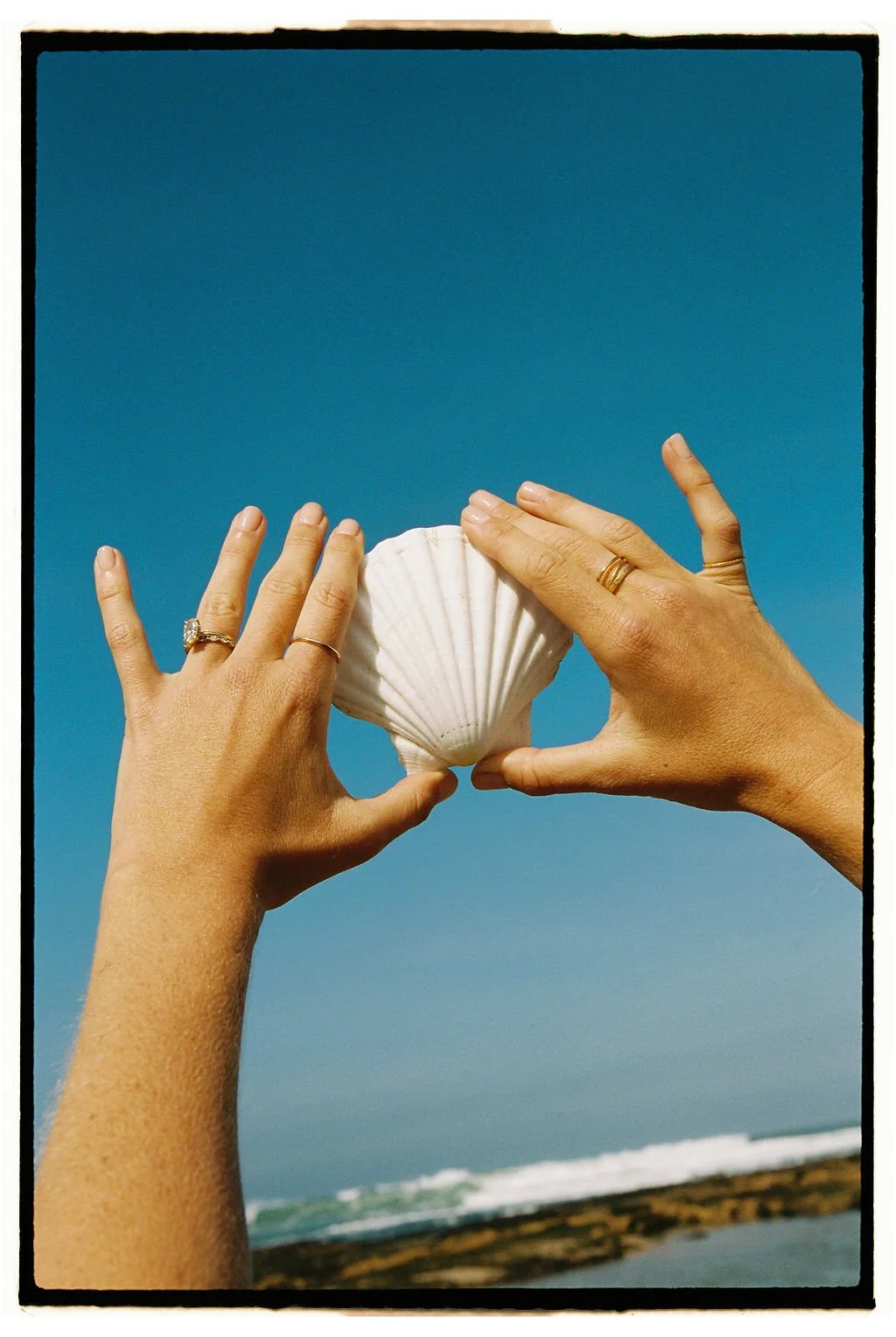 Two hands holding a seashell against a blue sky with ocean waves in the background.