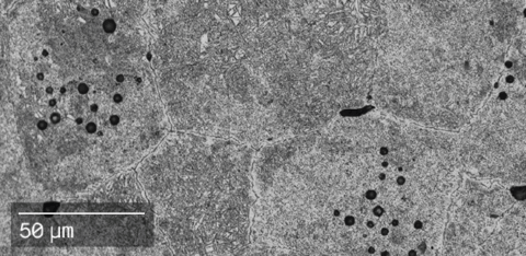 D2 tool steel microstructure designed for high-wear industrial tooling and manufacturing applications