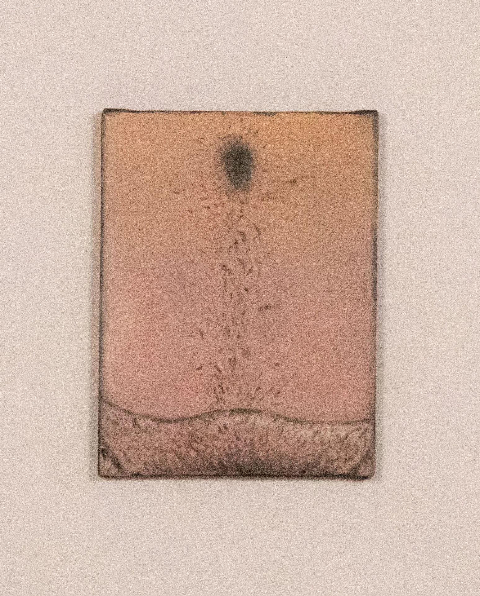 Vignettes (Stomach) 2026
