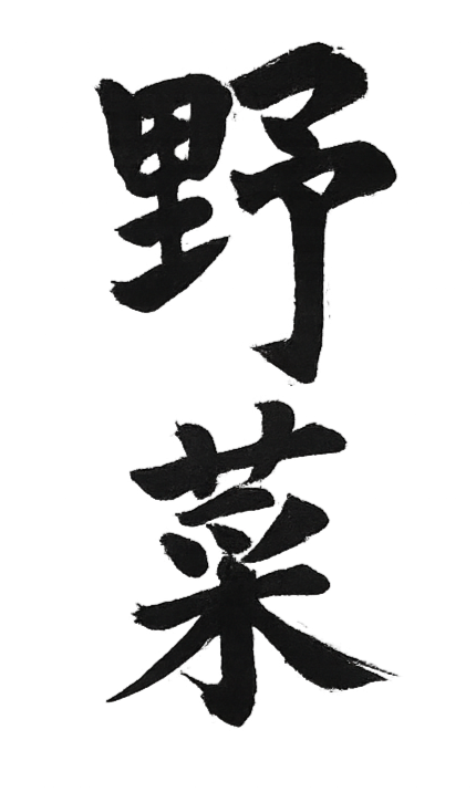 Black Japanese kanji characters for 'hope' or 'dream' written vertically.