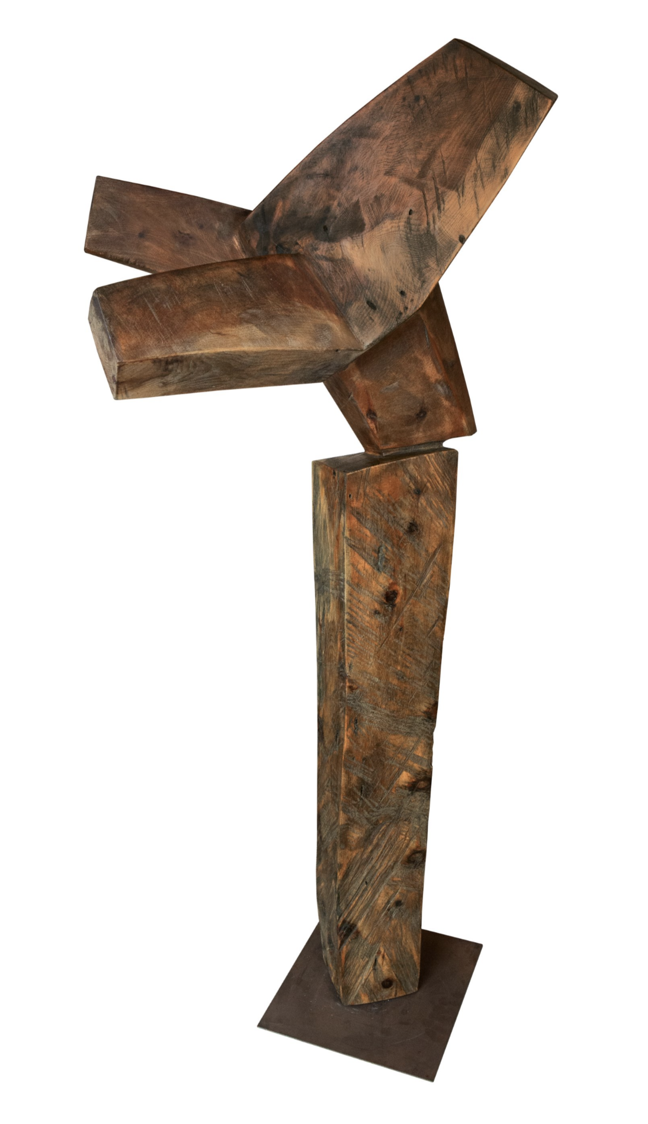 	 Cavalluccio, 1994