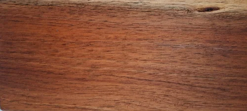Blackwood / Acacia