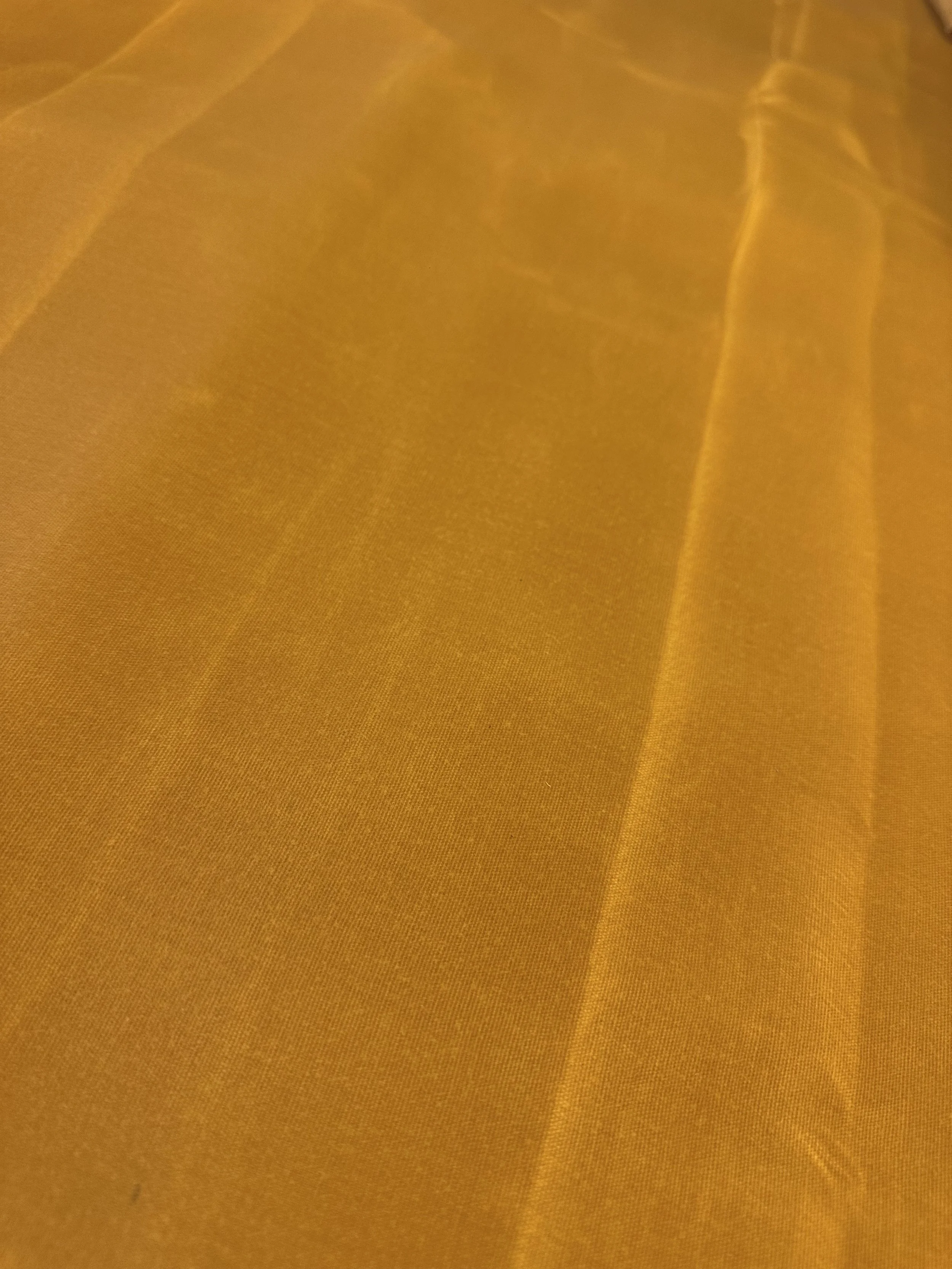 Waxed Canvas Yellow_4878.jpeg
