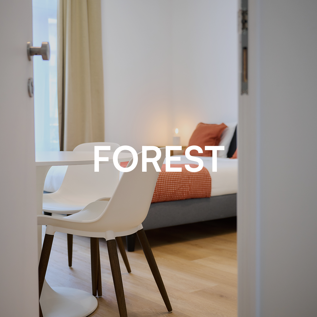 Forest 289.png