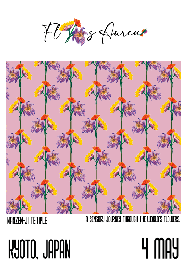 affiche n 1.png