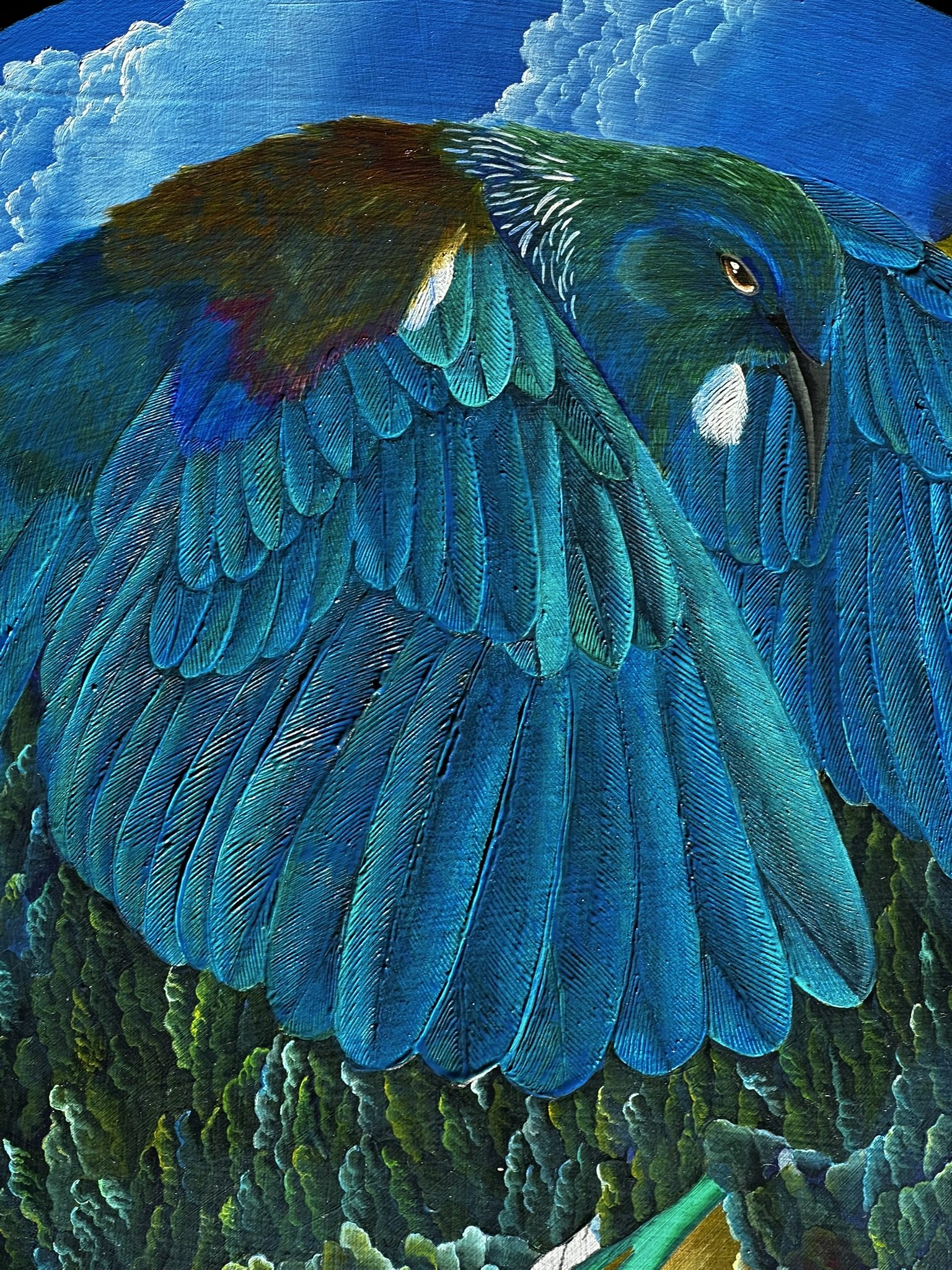 Feathers & River