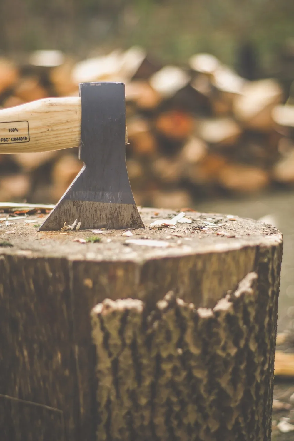 A close-up of an axe embedded in a tree stump with chopped wood in the background.