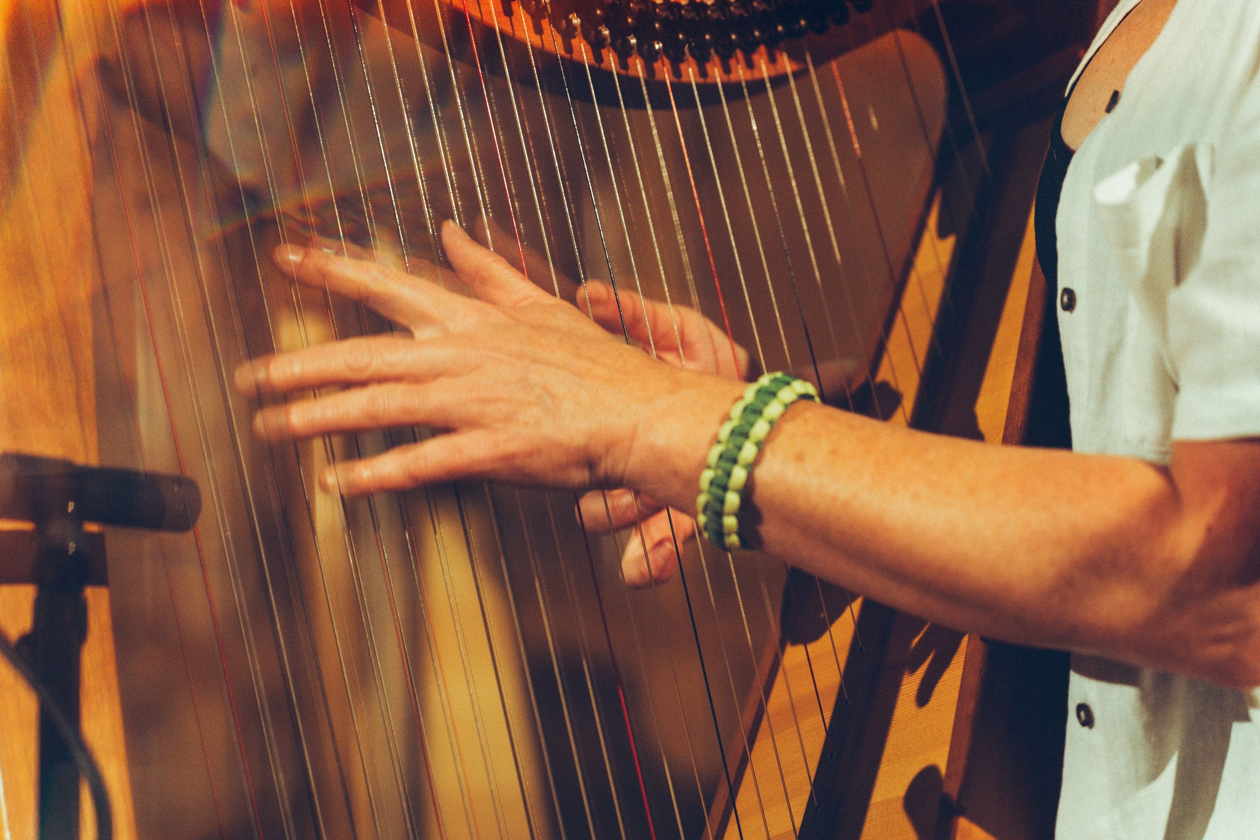 HarpEnsemble_BelfastTradFest_ClaireLoughran_2025-58.jpg