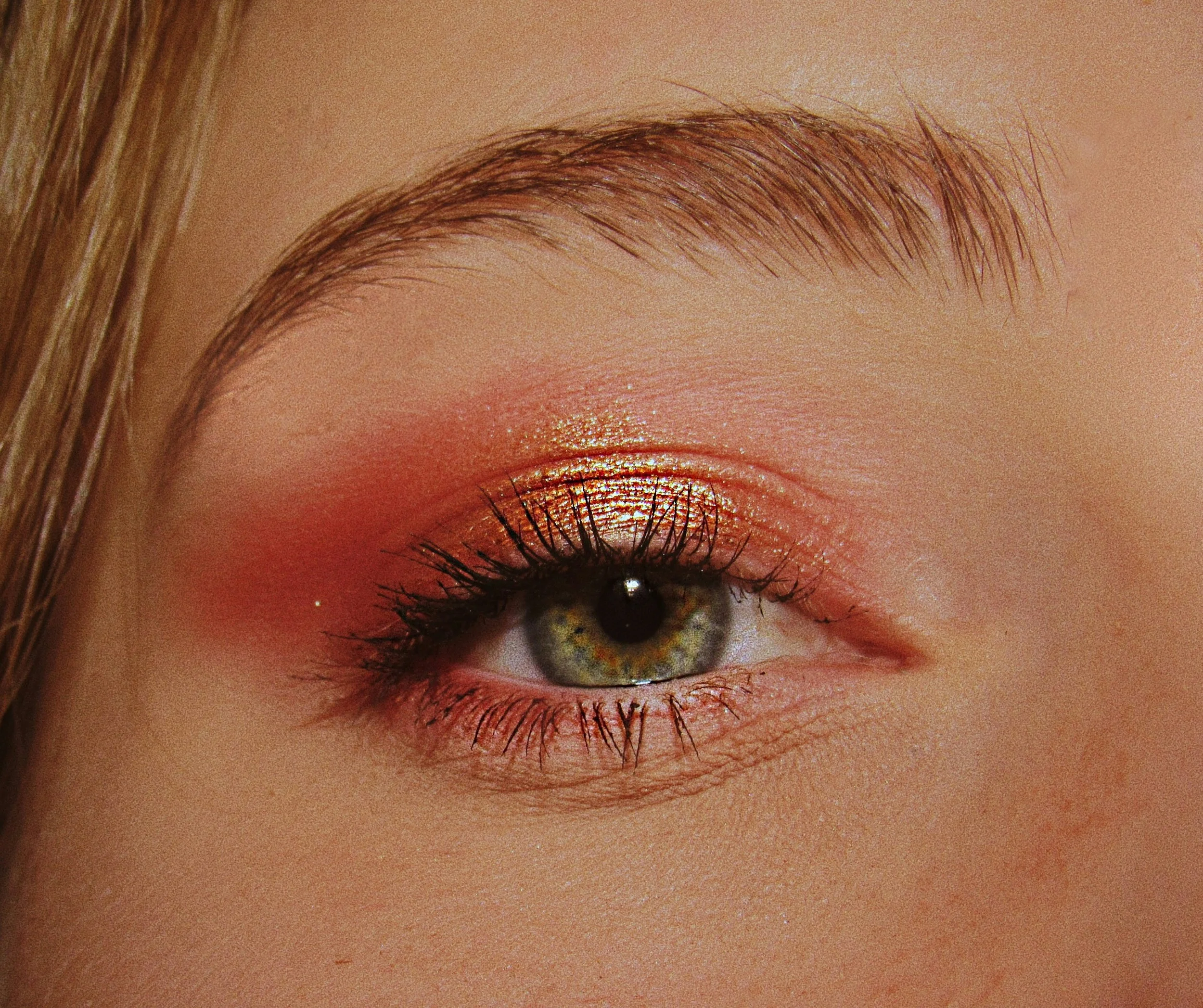 Close-up of a human eye with eye makeup and well-groomed eyebrows.
