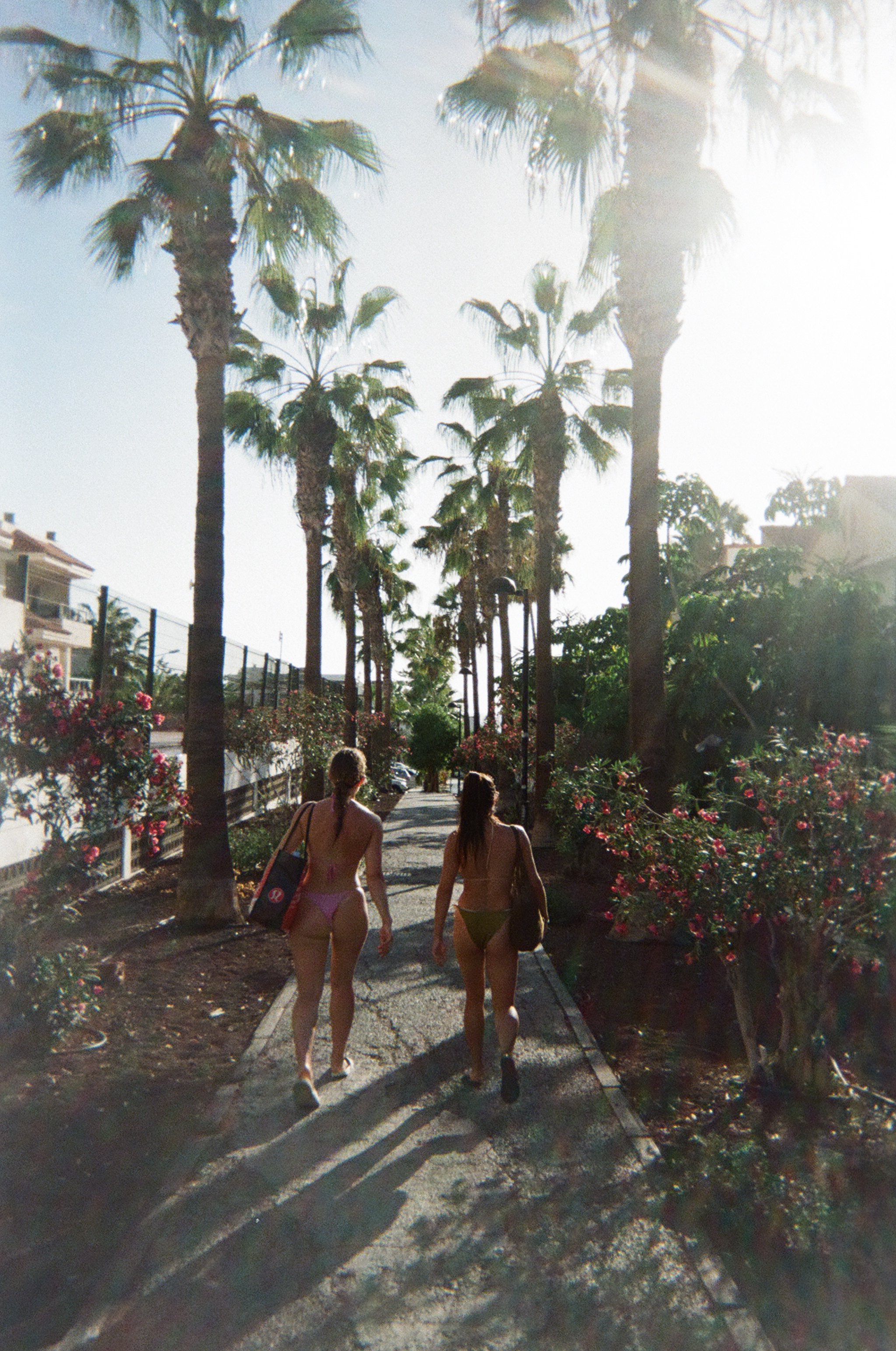 Two women walking down a sidewalk lined with palm trees and blooming bushes, with large buildings in the background.