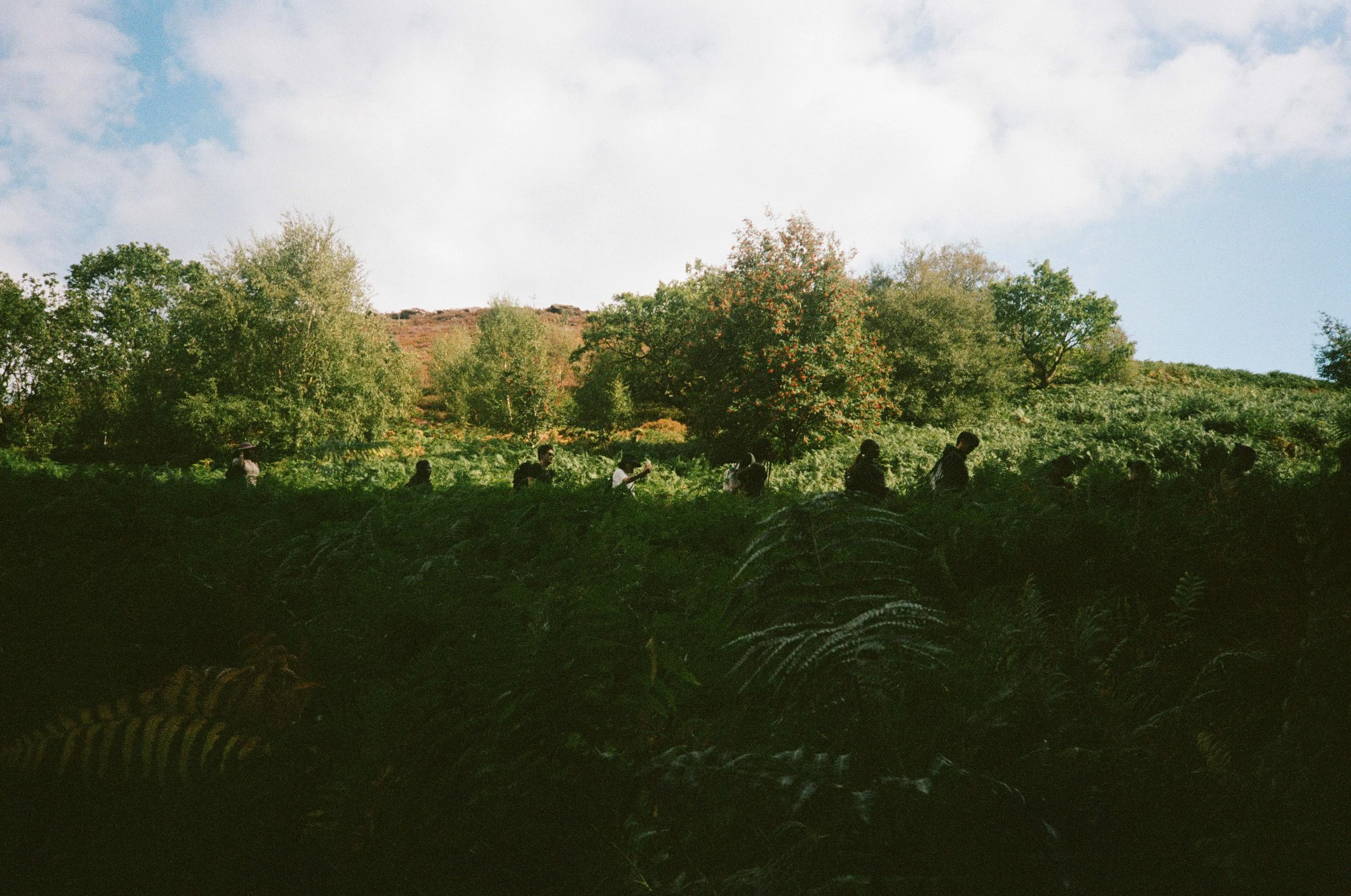 EXP_Bamford Edge_0826_arinderizzio00043.jpg