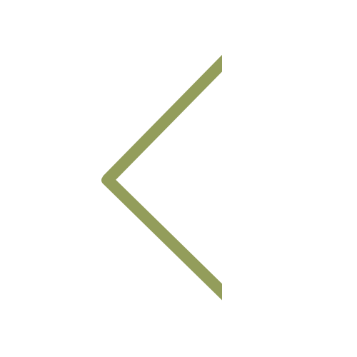 A thin light green arrow pointing left