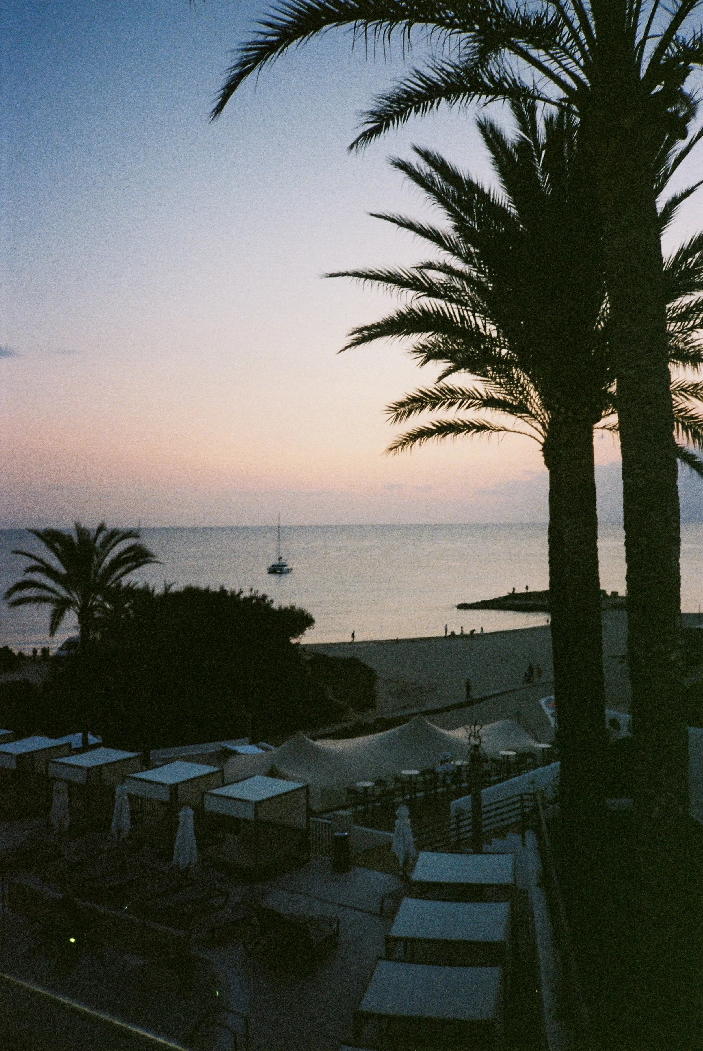 Beachside scene at sunset with palm trees, a sailboat on the water, and outdoor seating areas with umbrellas.