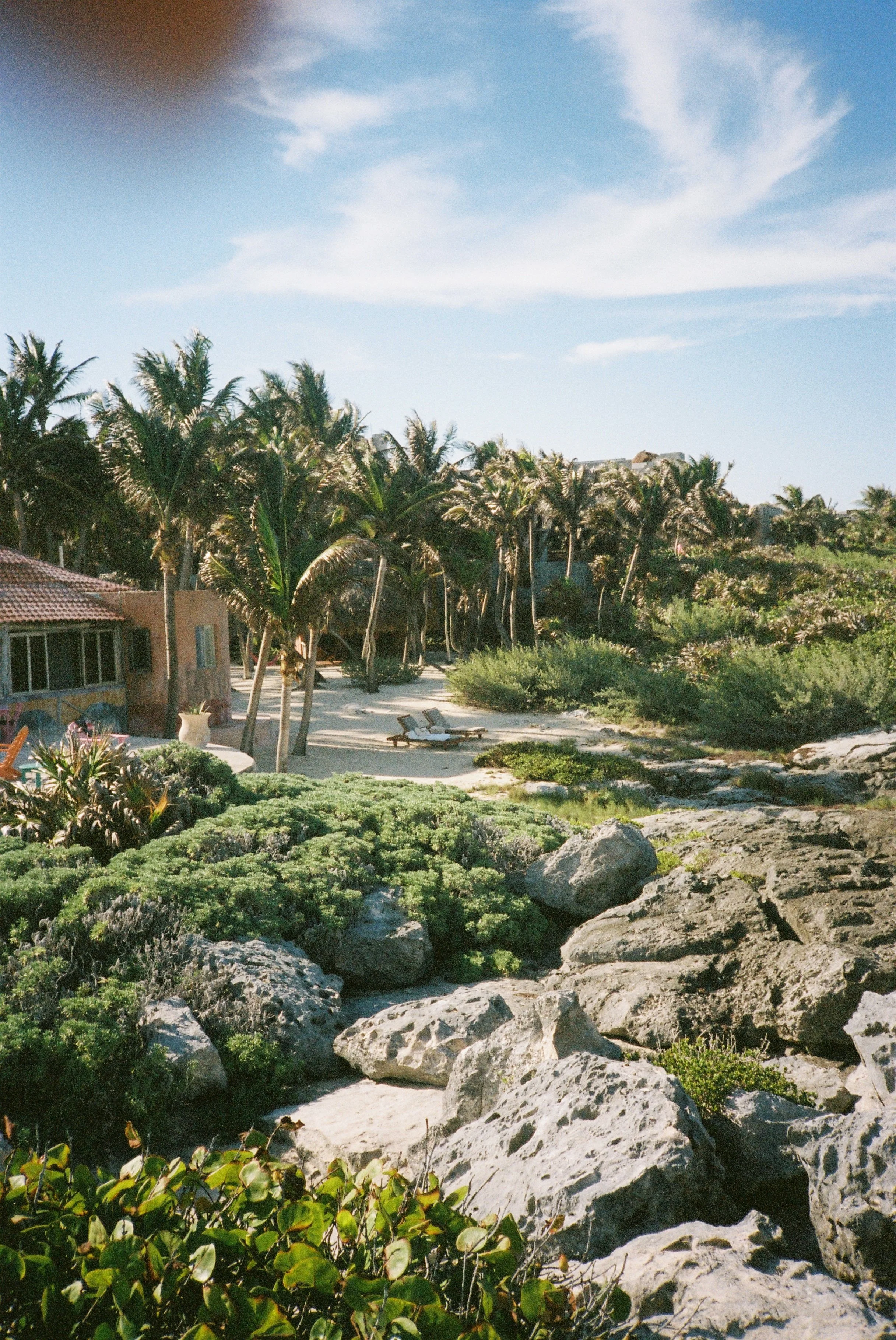 A tropical landscape with palm trees, a sandy pathway, lounge chairs, rocks, lush greenery, and a partly cloudy blue sky.