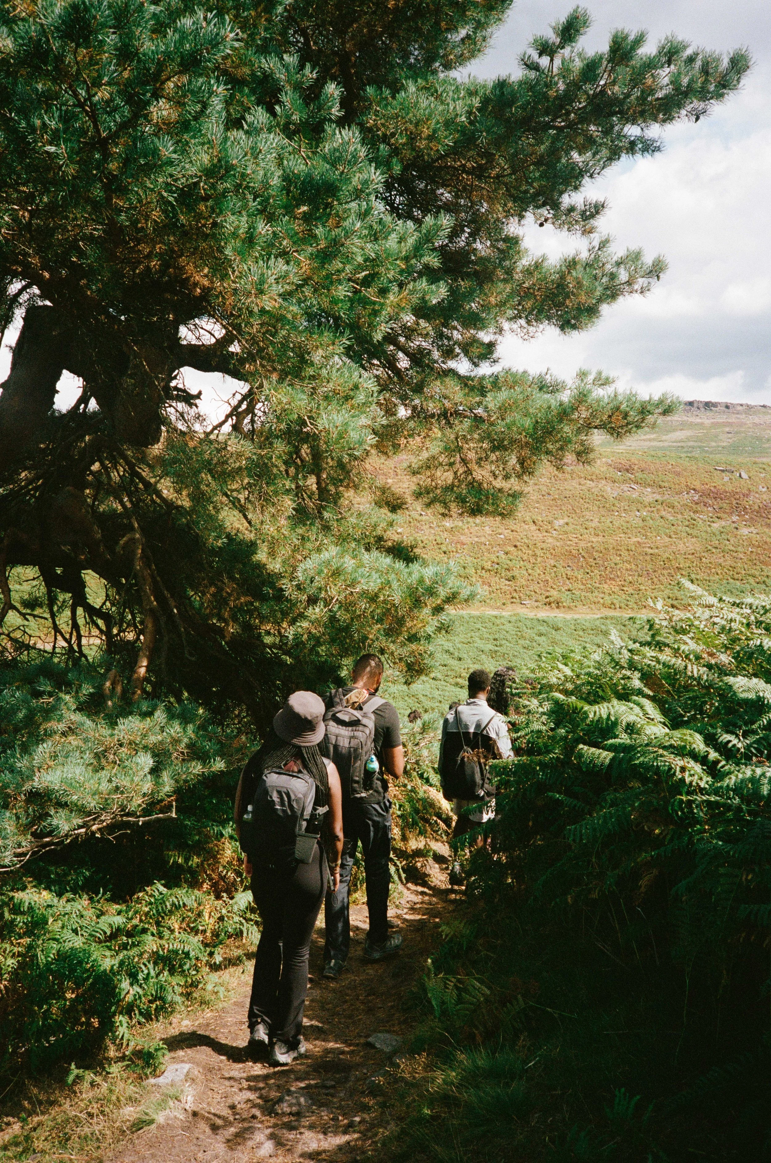 EXP_Bamford Edge_0826_arinderizzio00006.jpg